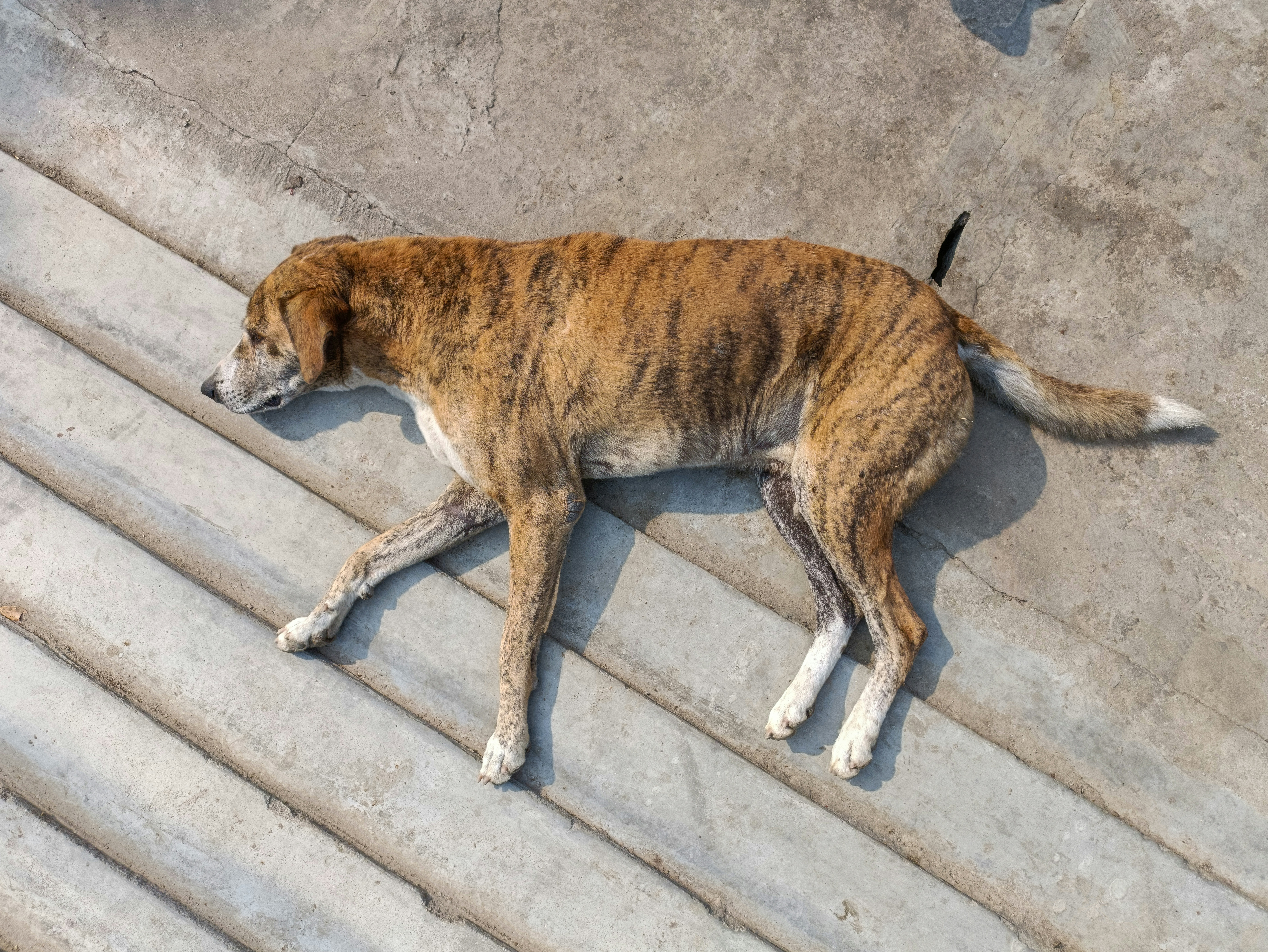 Photo by capturedmoments193