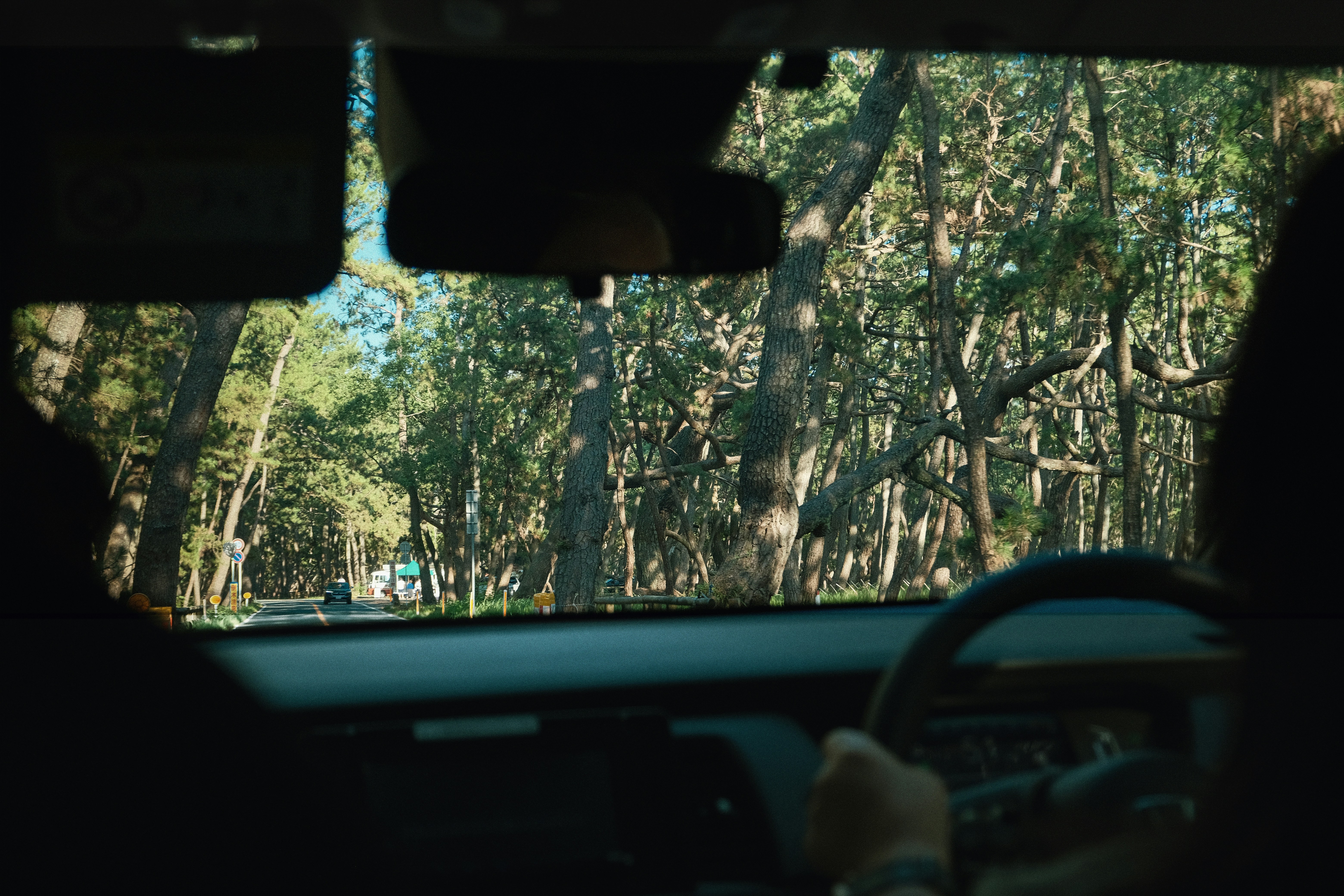 Photo by chanwei_snap