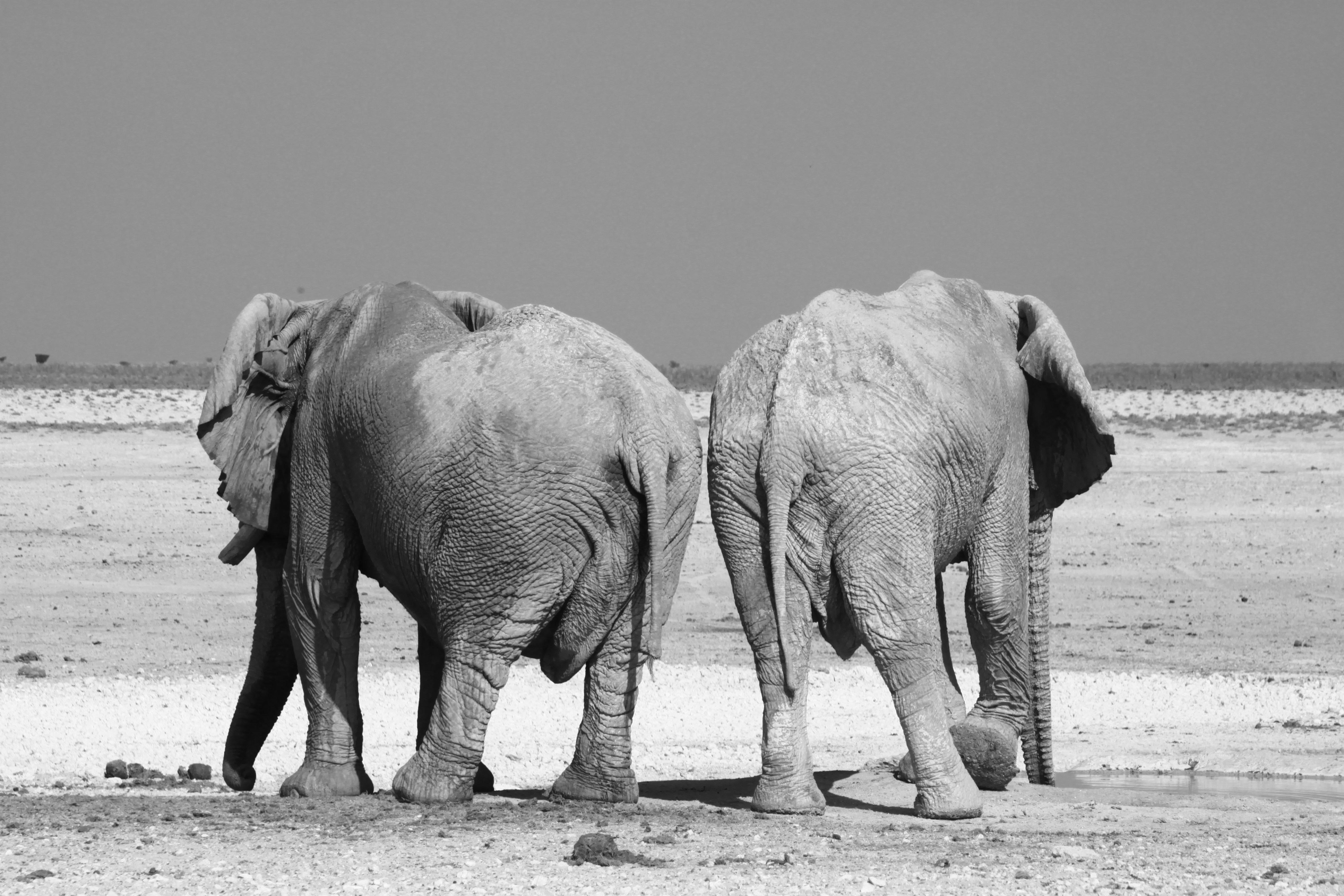 Additional view of Namibia 1