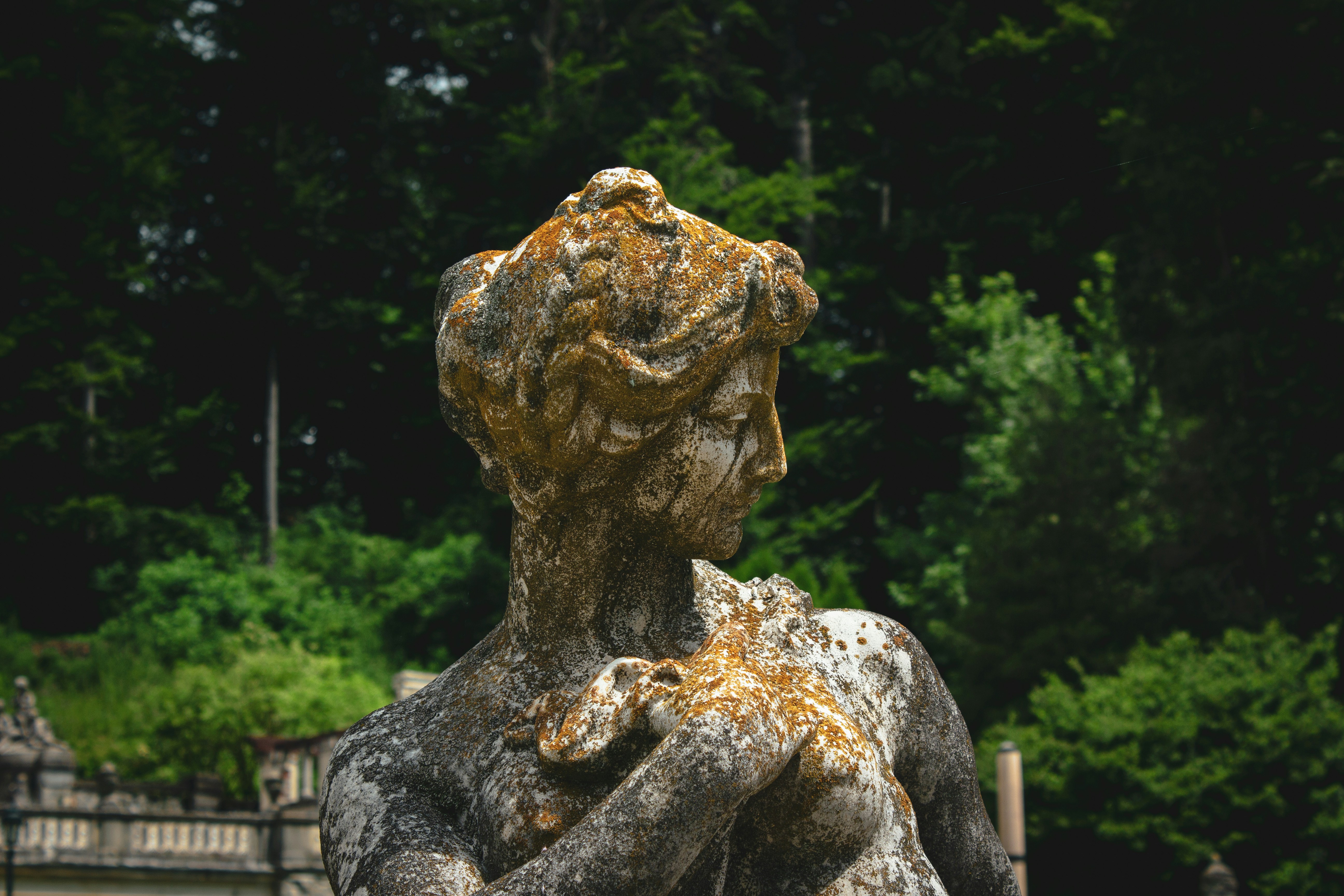 Photo by reanimatedmanx