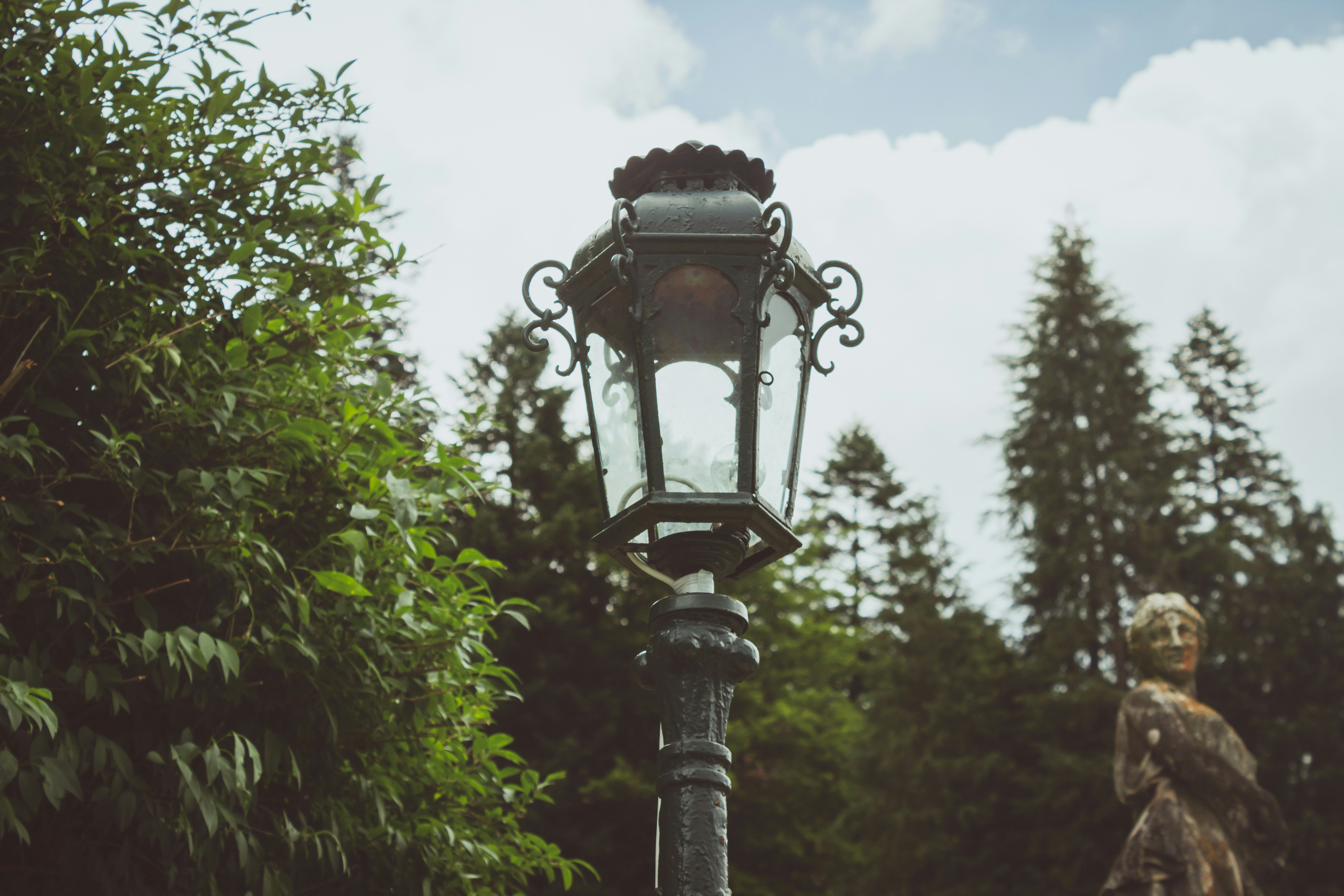 Photo by reanimatedmanx