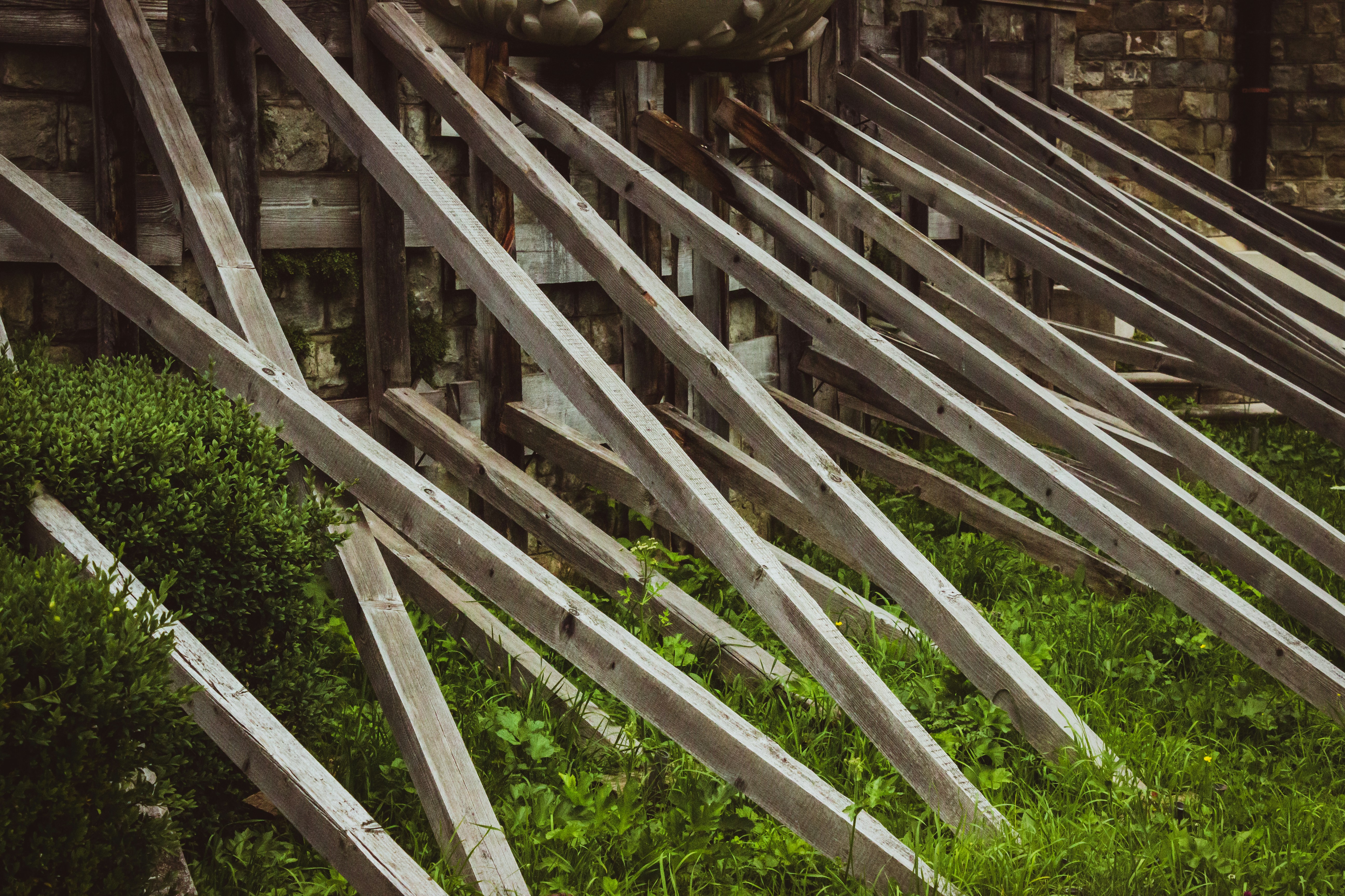 Photo by reanimatedmanx