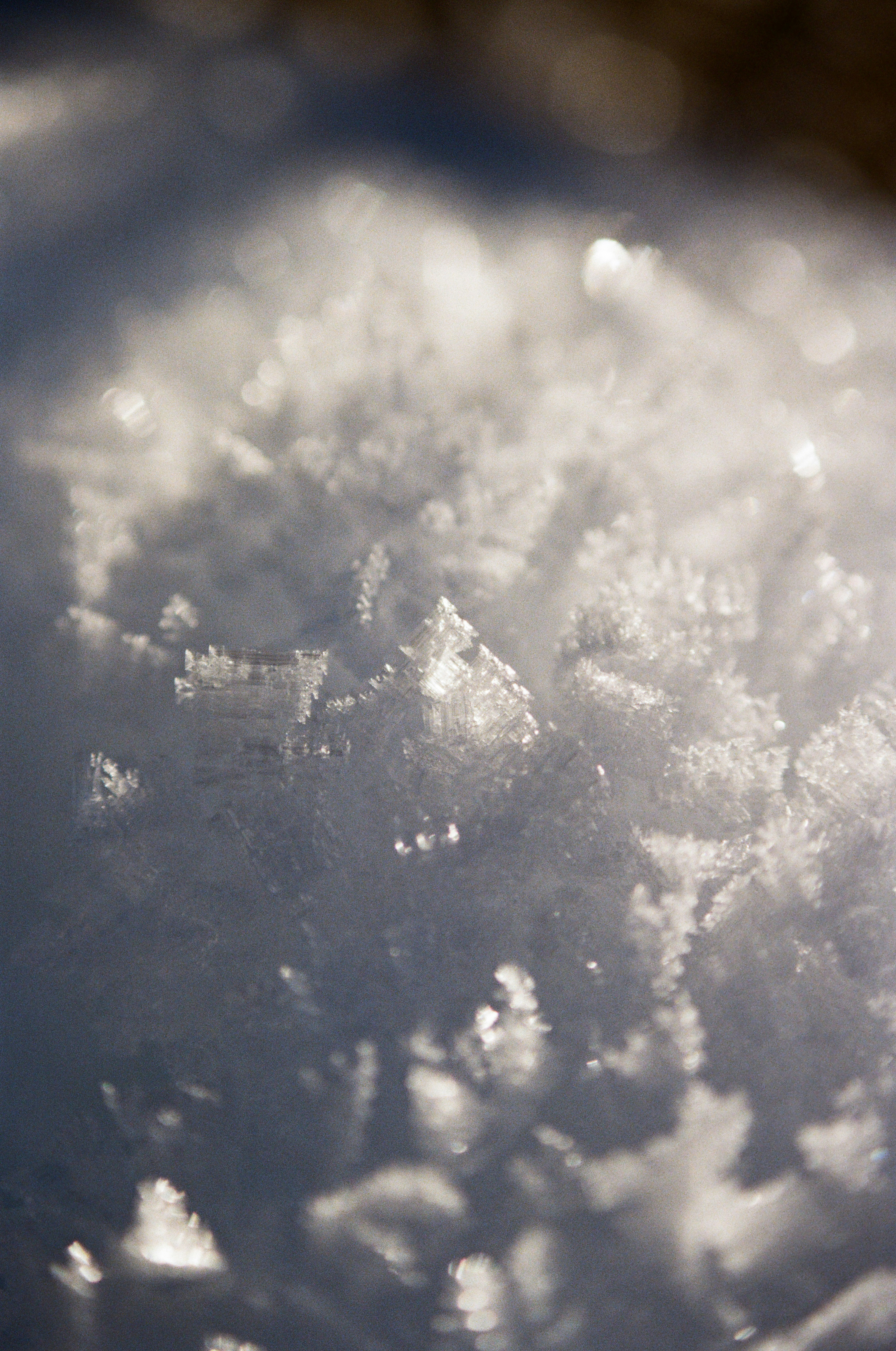 Photo by bernhardbar