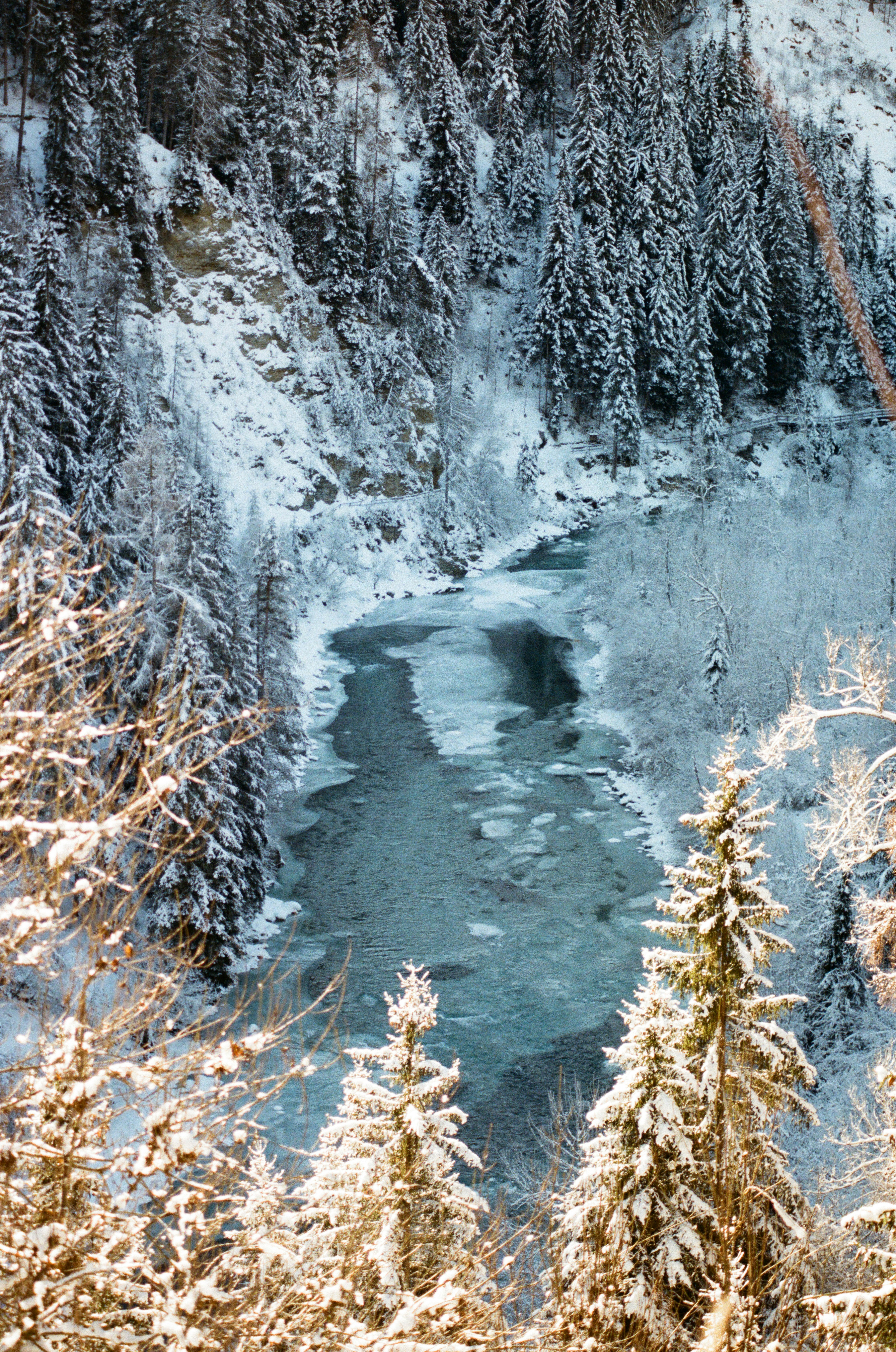 Photo by bernhardbar