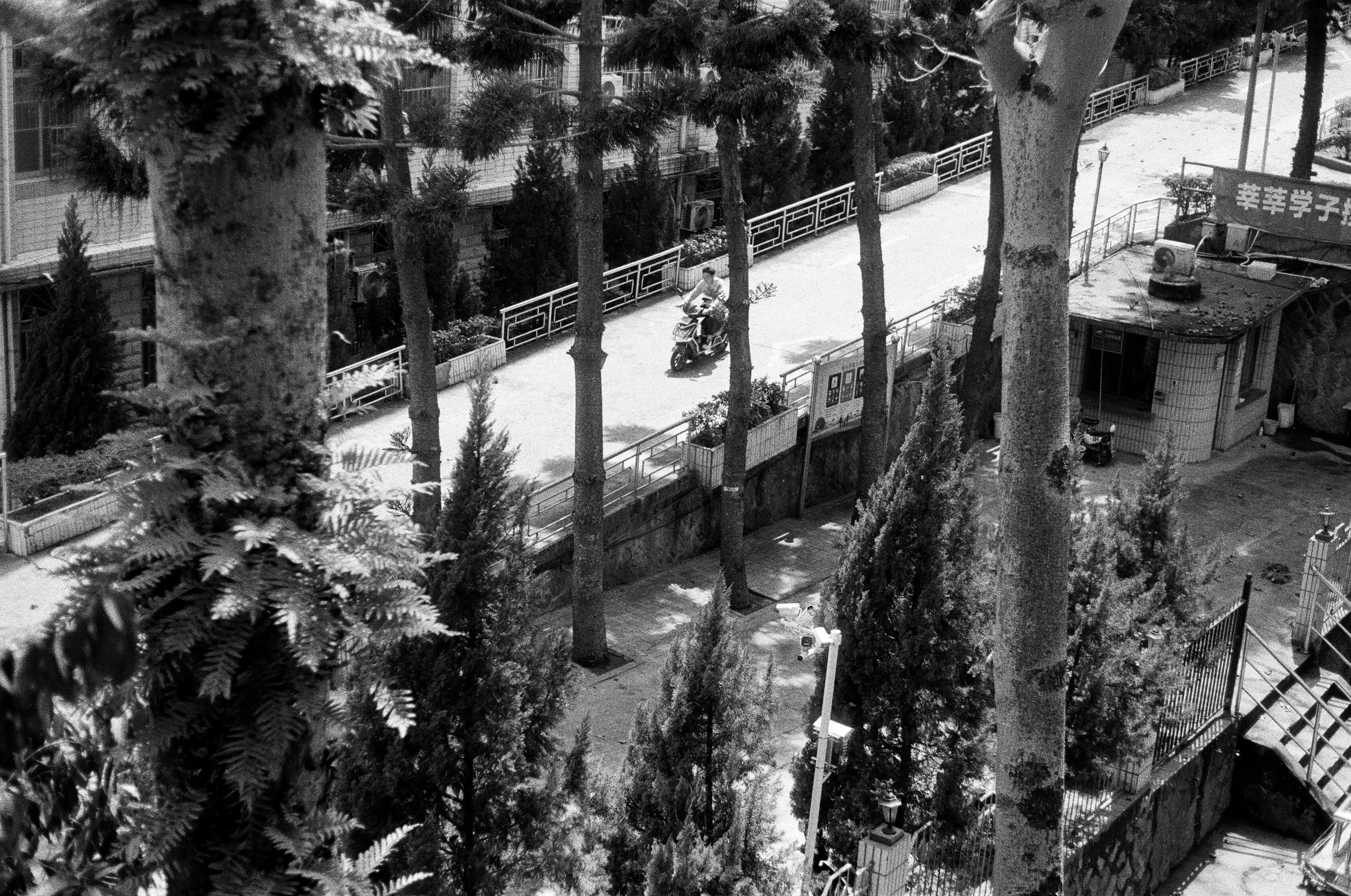A black and white photo of a snow covered street
