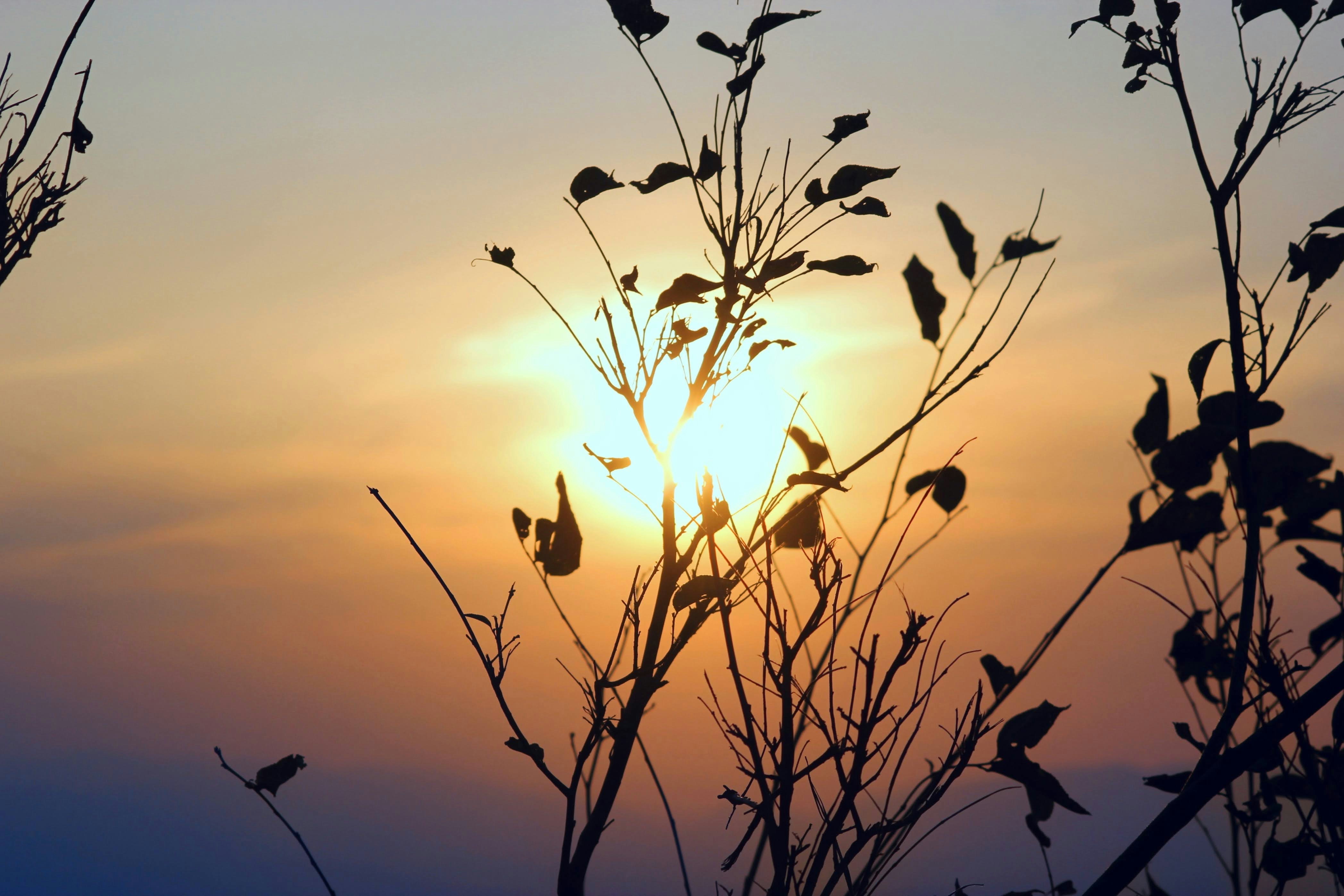 Photo by imjunaidanwar