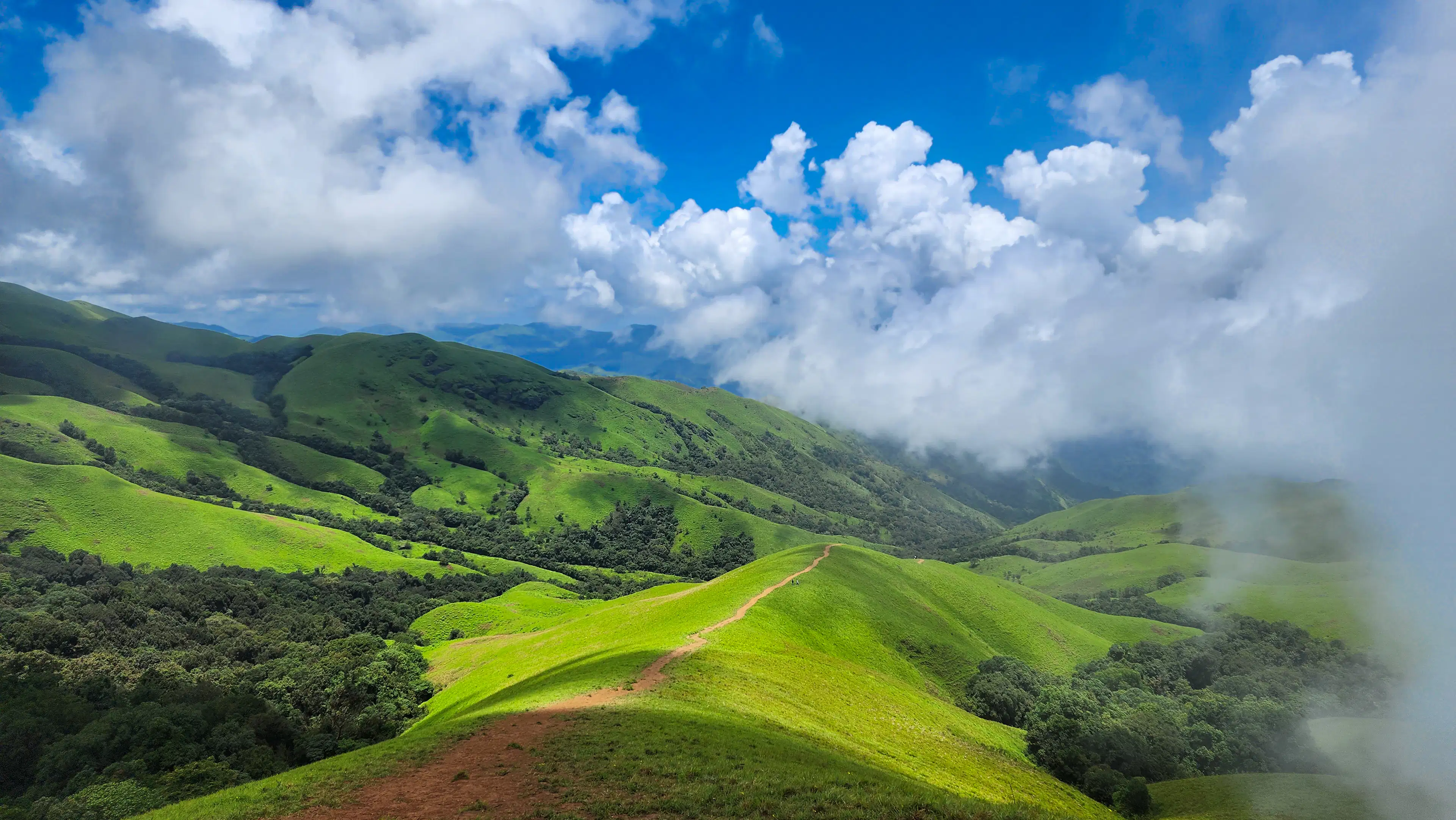 Emerald grass hills near Chikmagalur with clouds rolling over the slopes
