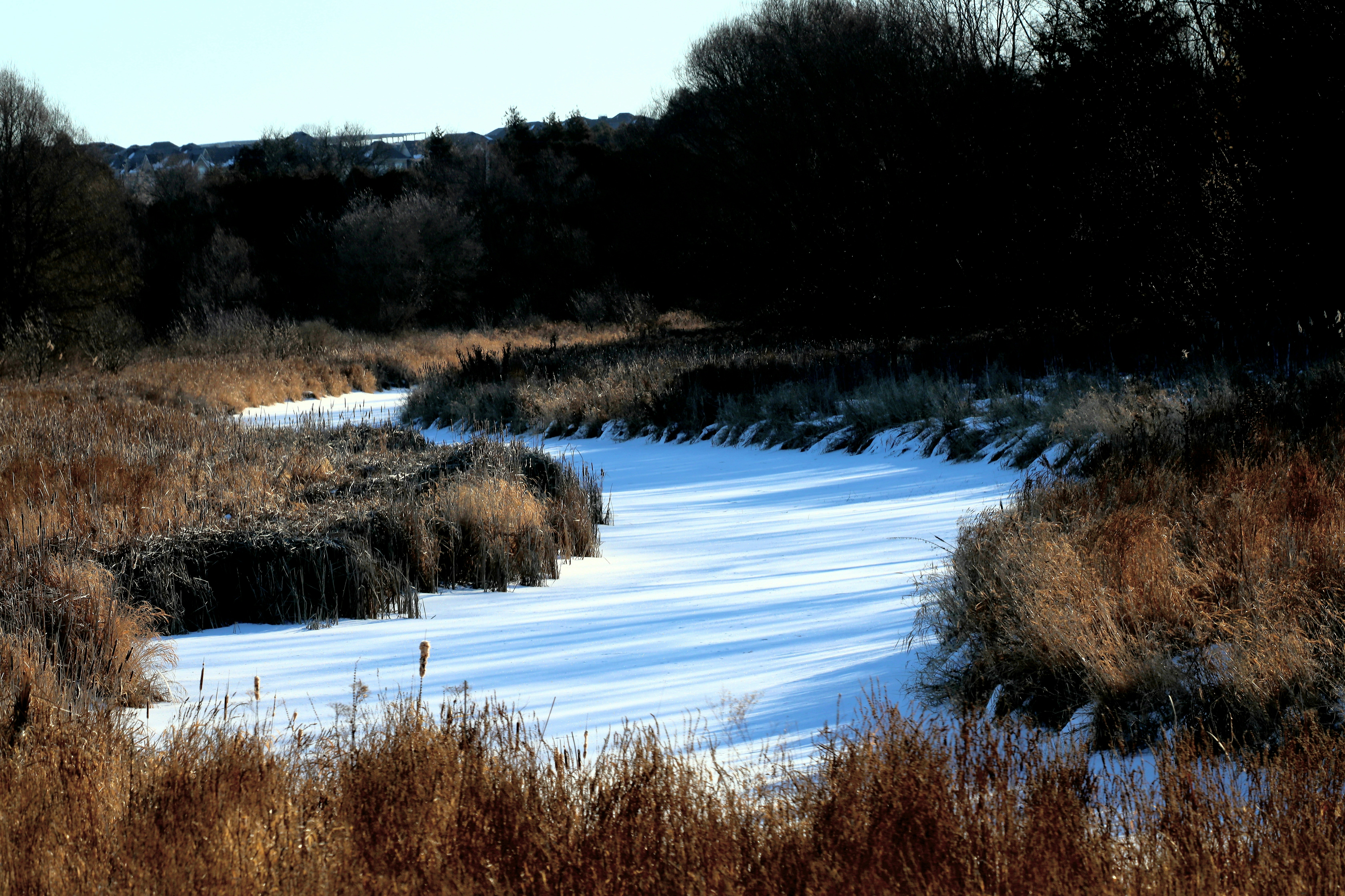 Photo by richardworks