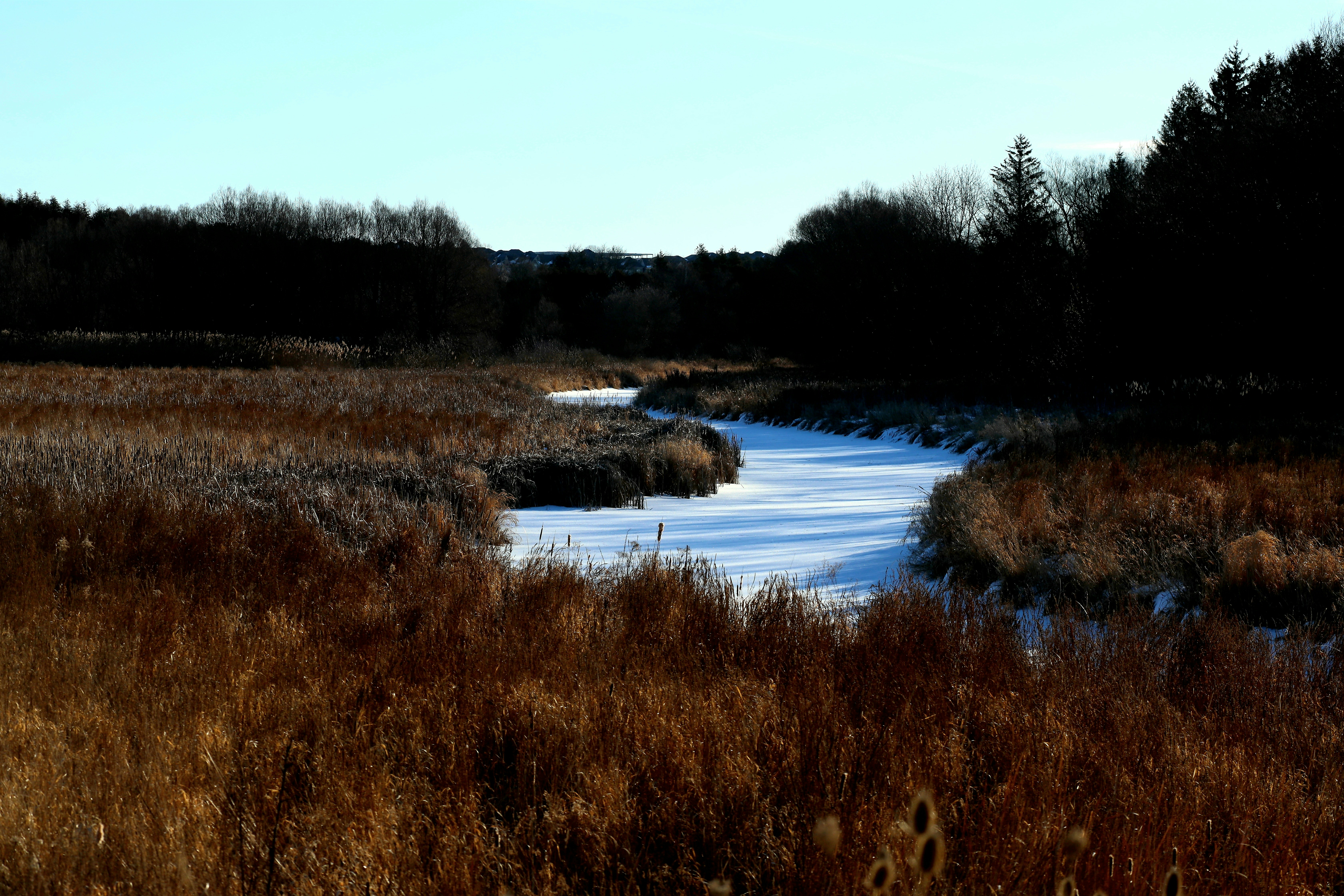 Photo by richardworks