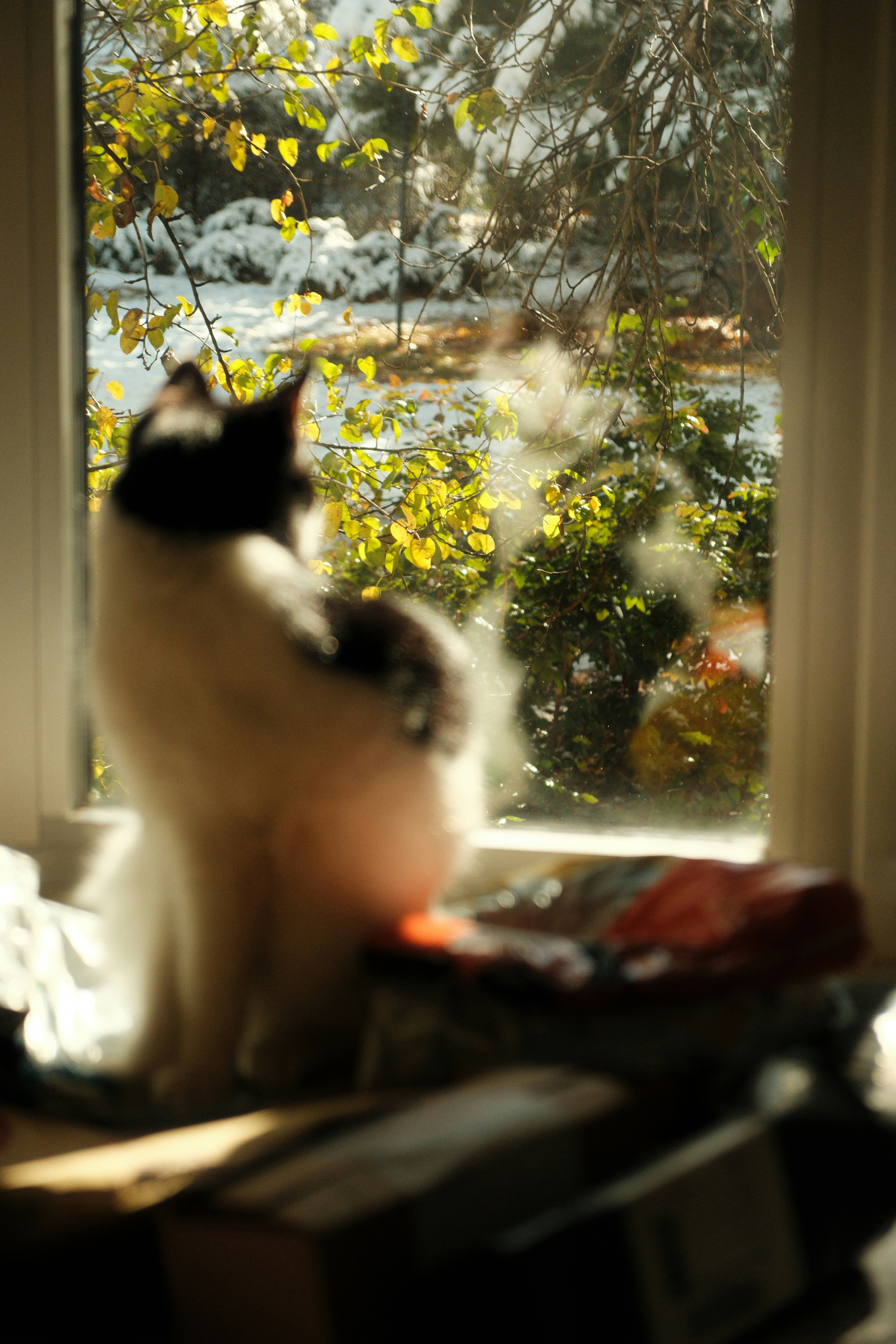 Photo by ismailefetop