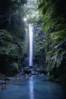 Tropical waterfall in Antique Philippines - Places to Visit in Antique | Tarak-Tarak Car Rental