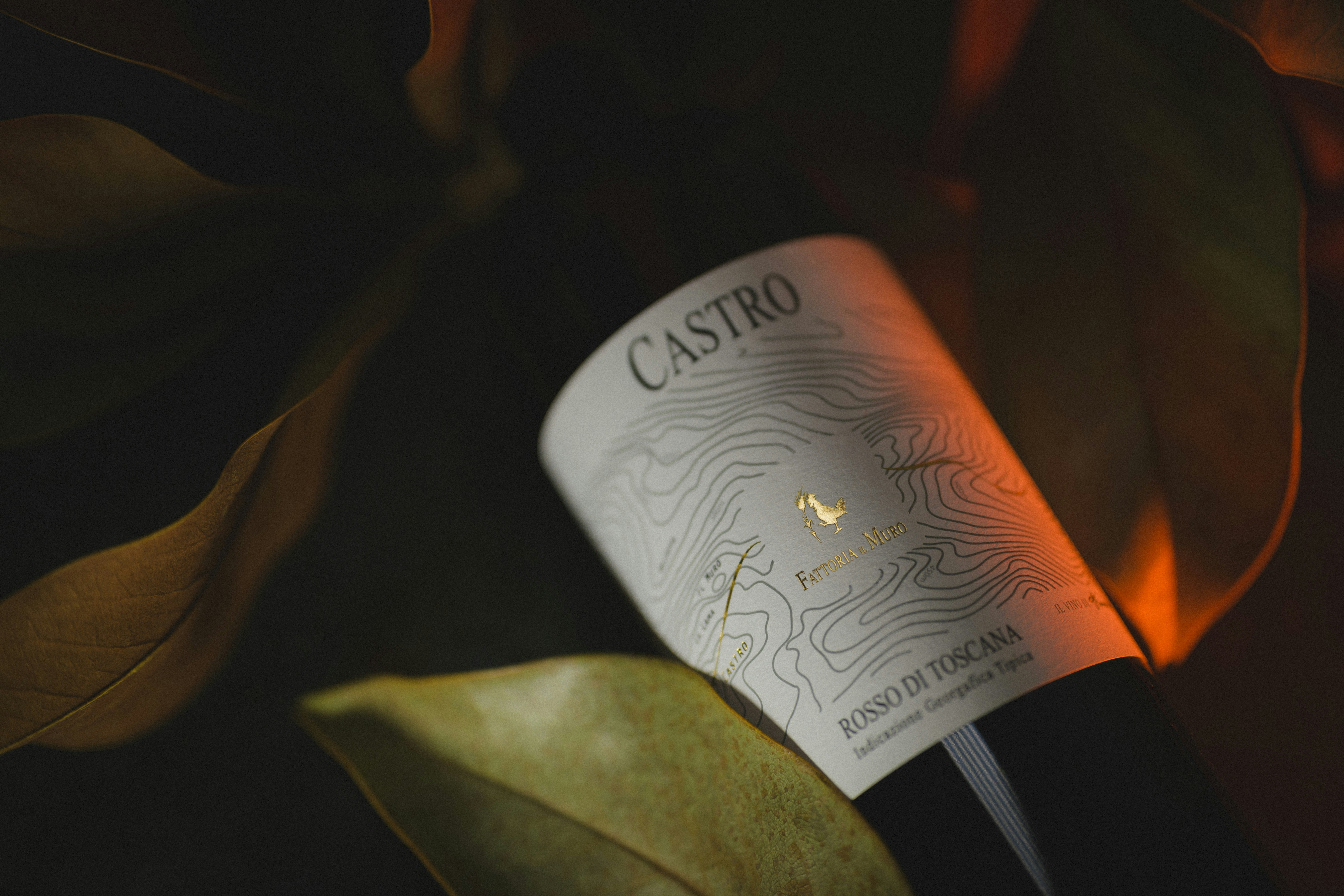 Packaging e supply chain