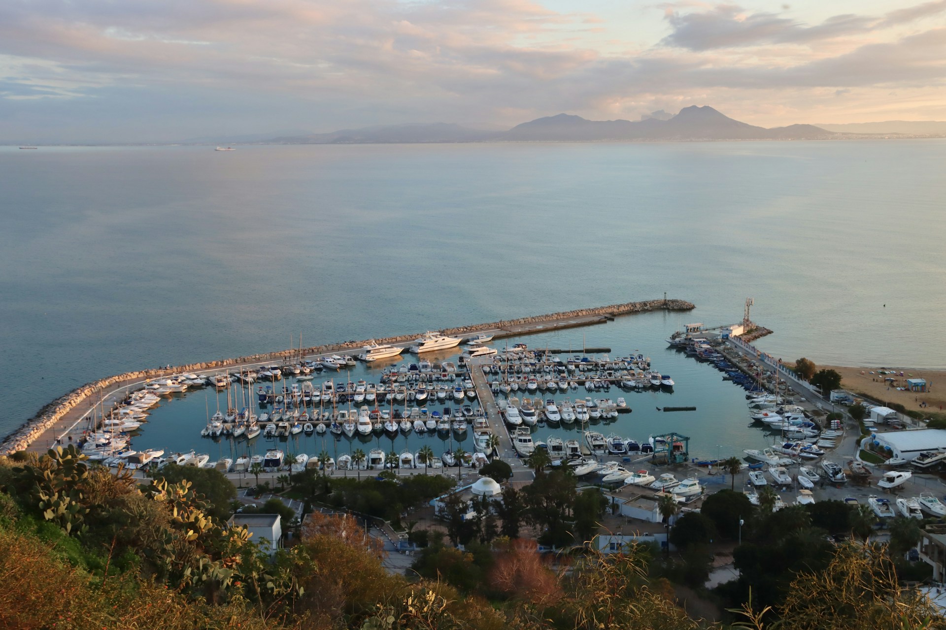 A view of a harbor with a lot of boats
