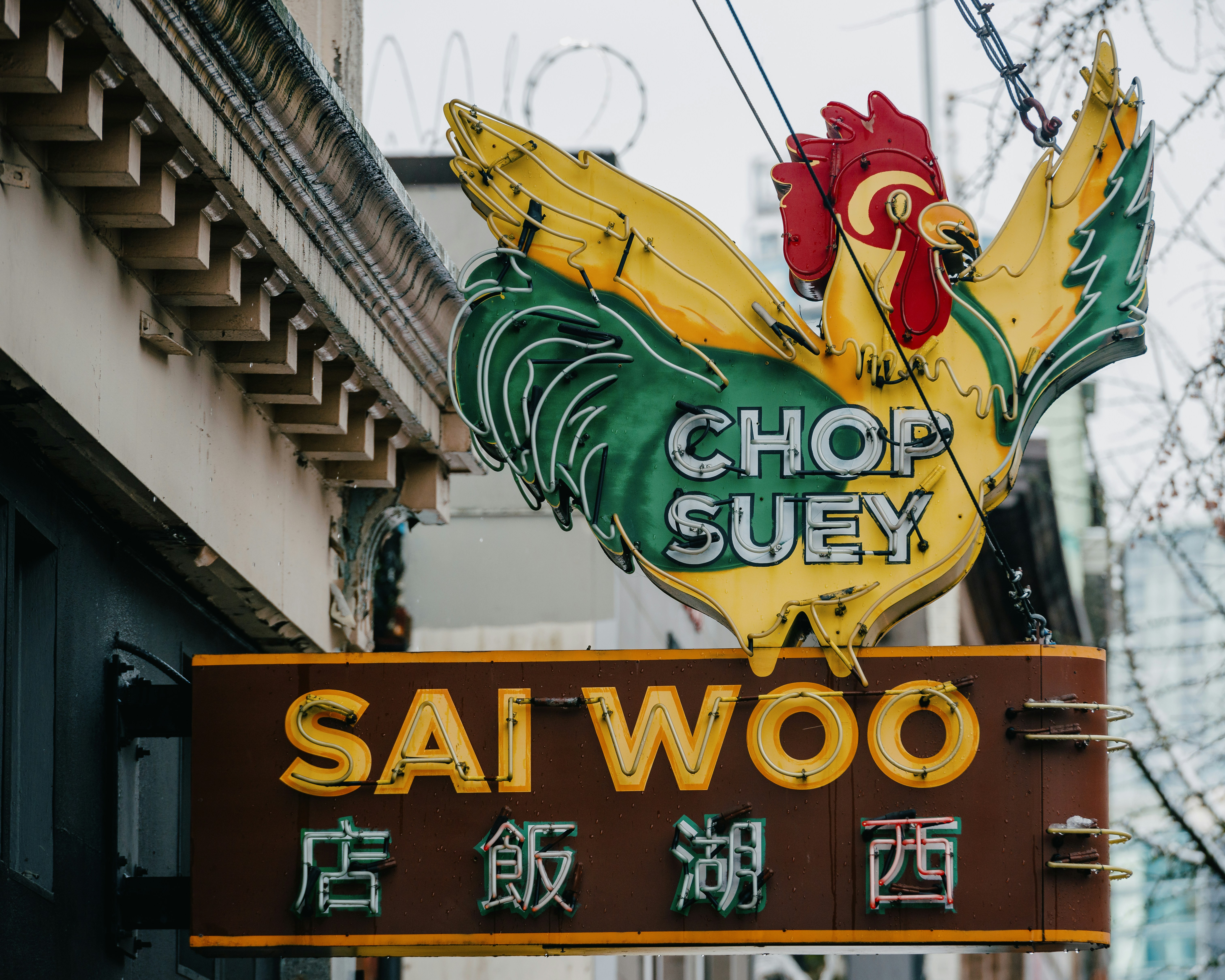 National Chop Suey Day