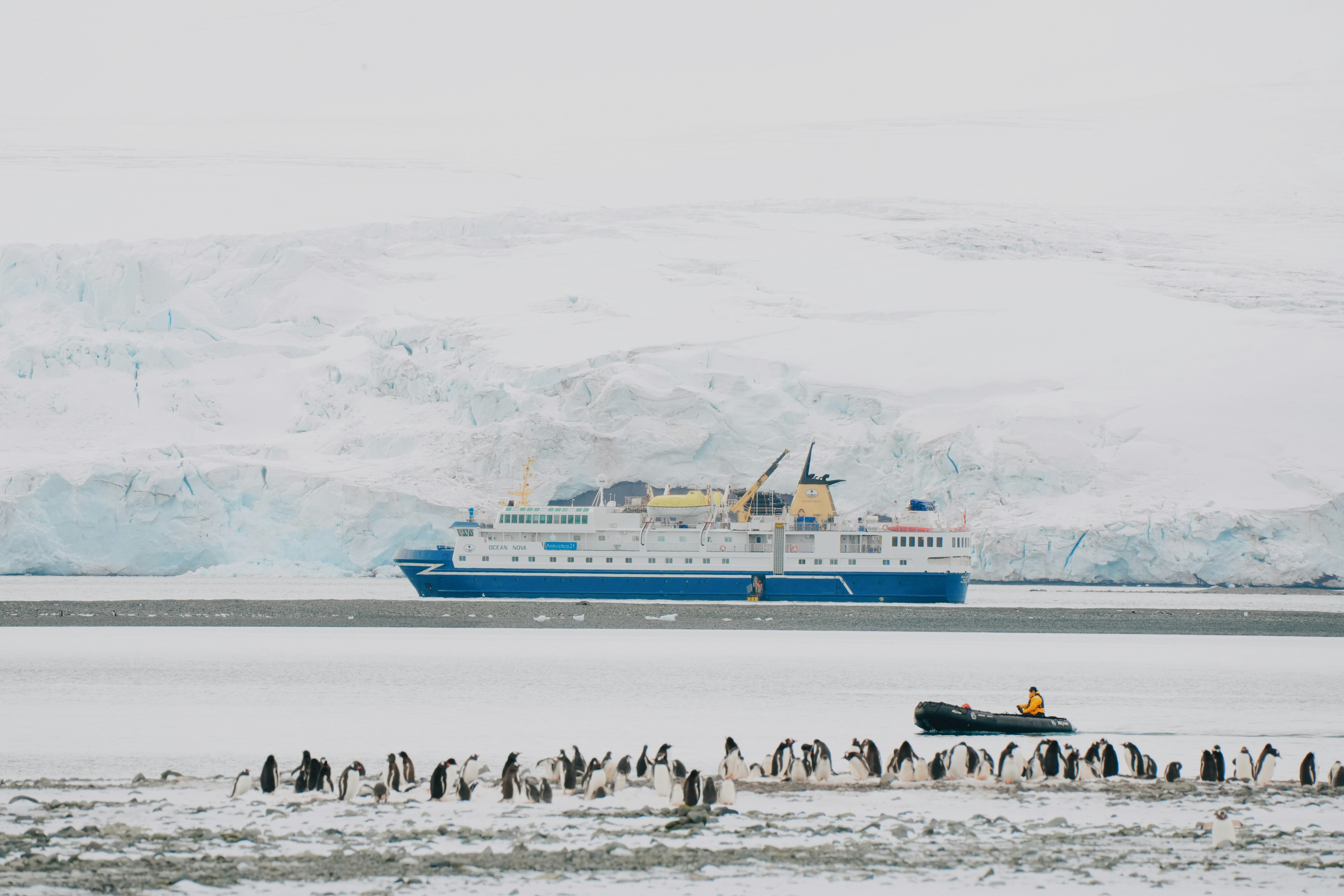 croisière en antarctique