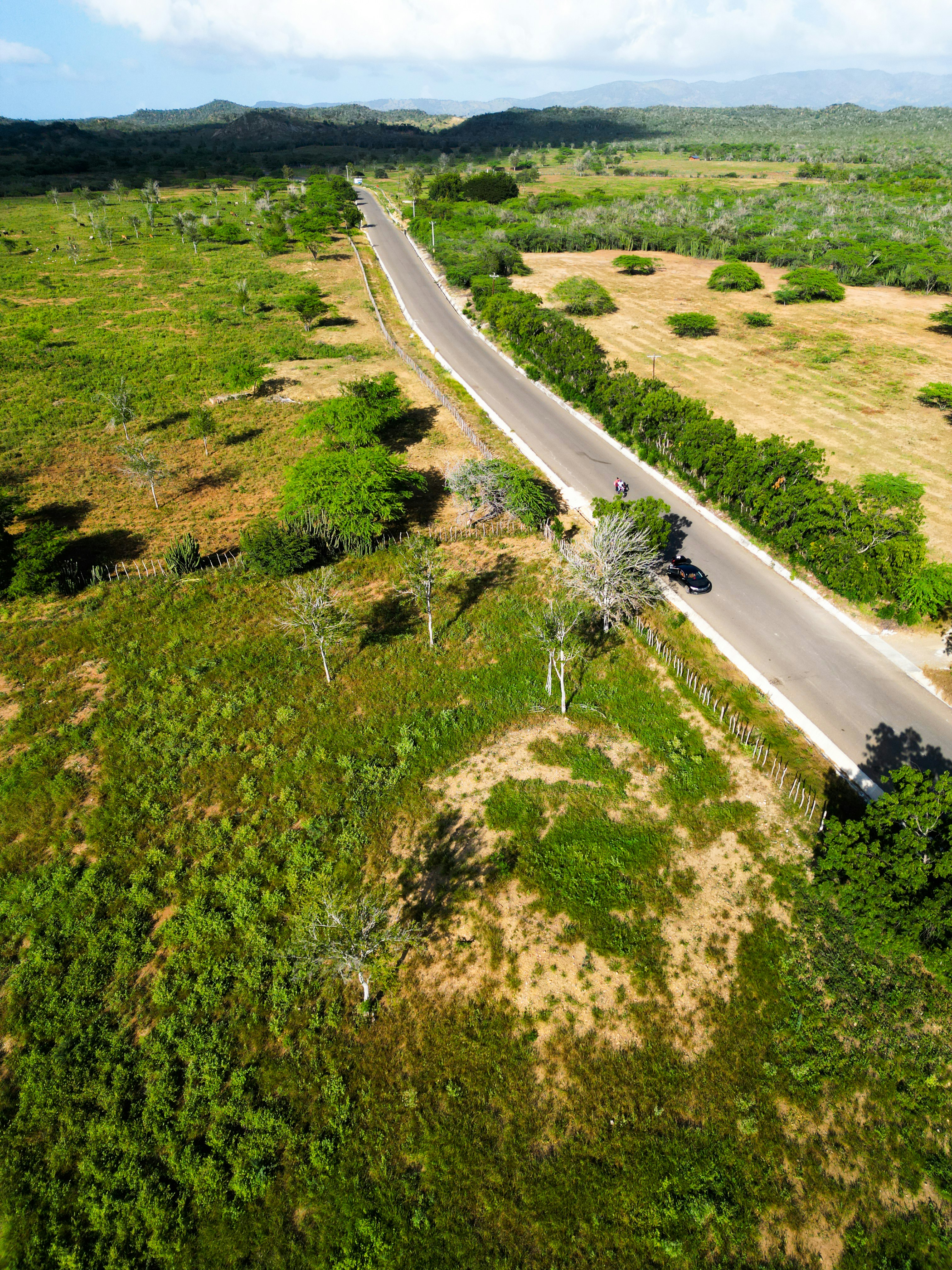 Photo by guzman123456