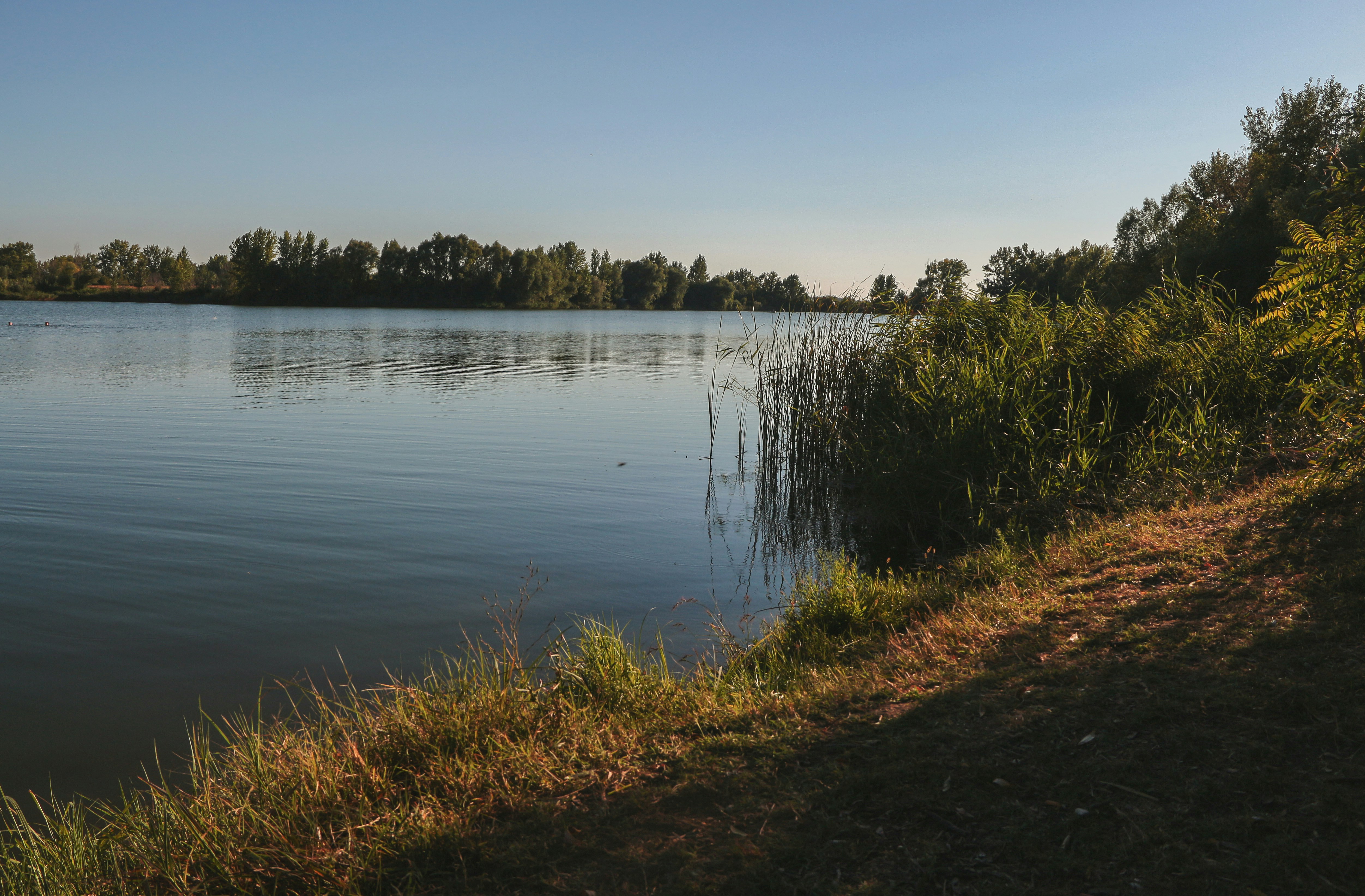 Photo by miloslopusina