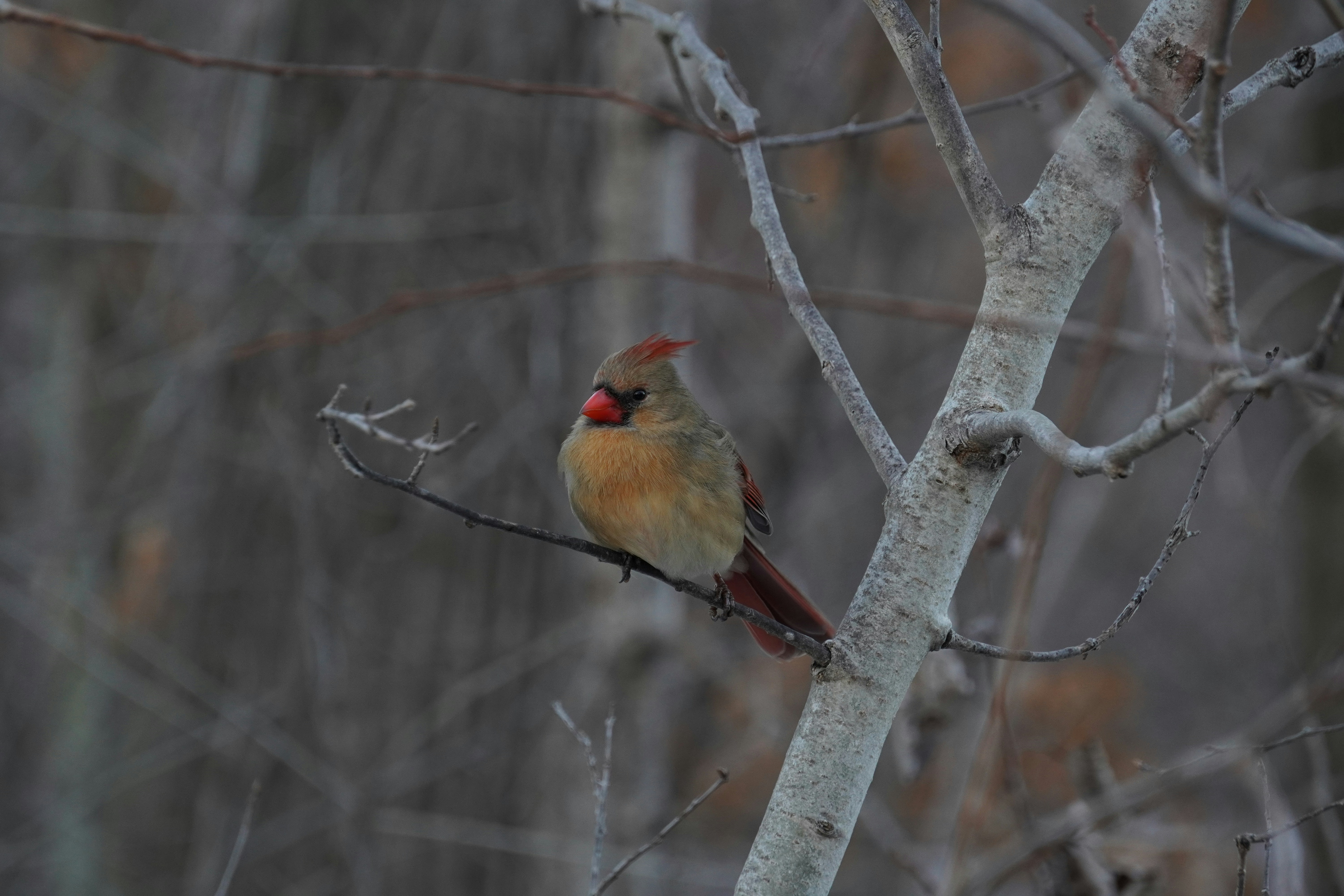 Photo by calm_stardust