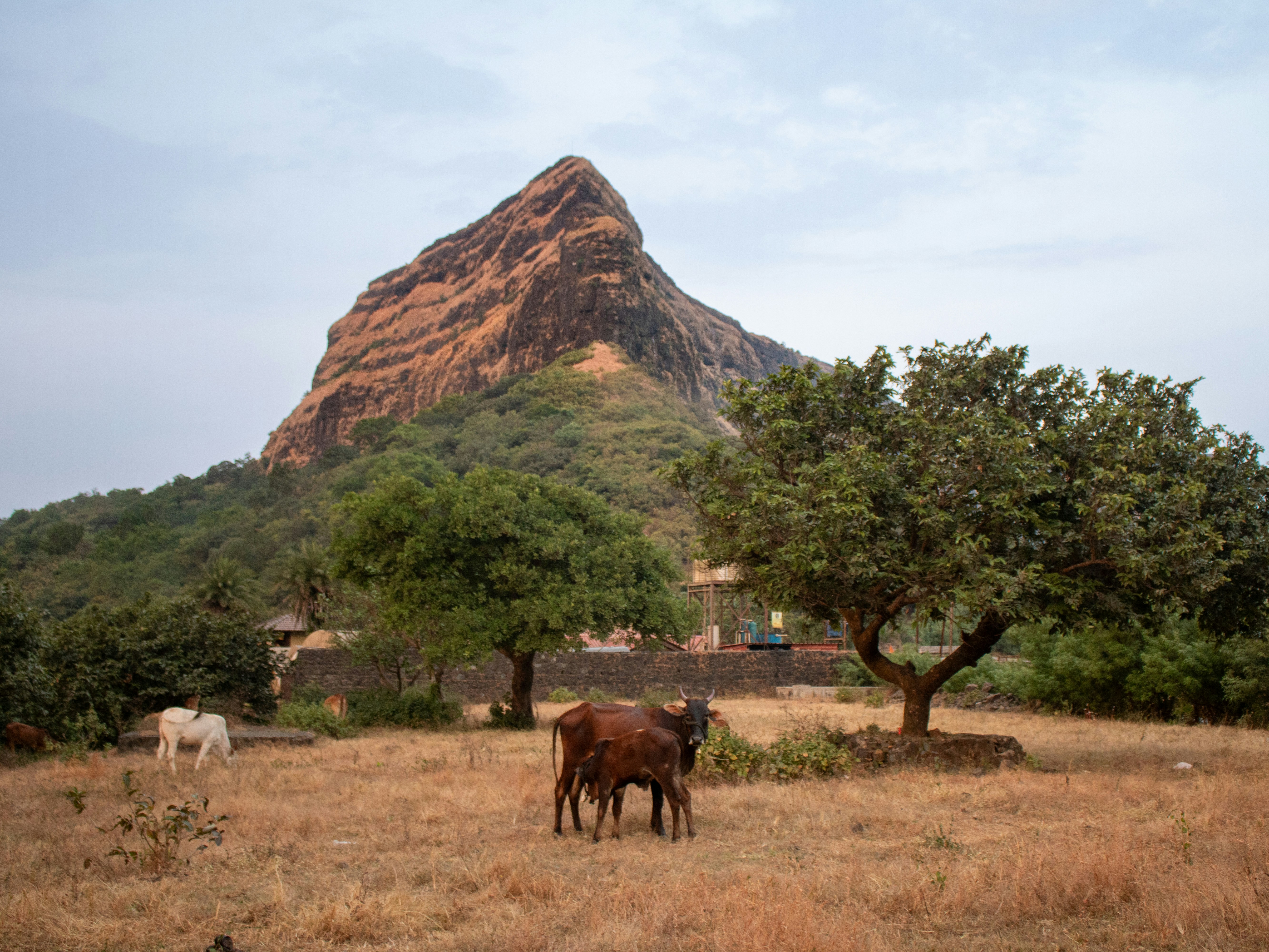 Stay online in the Burkina Faso with a prepaid eSIM from eSIMlii. Instant activation, no roaming charges, and reliable coverage.