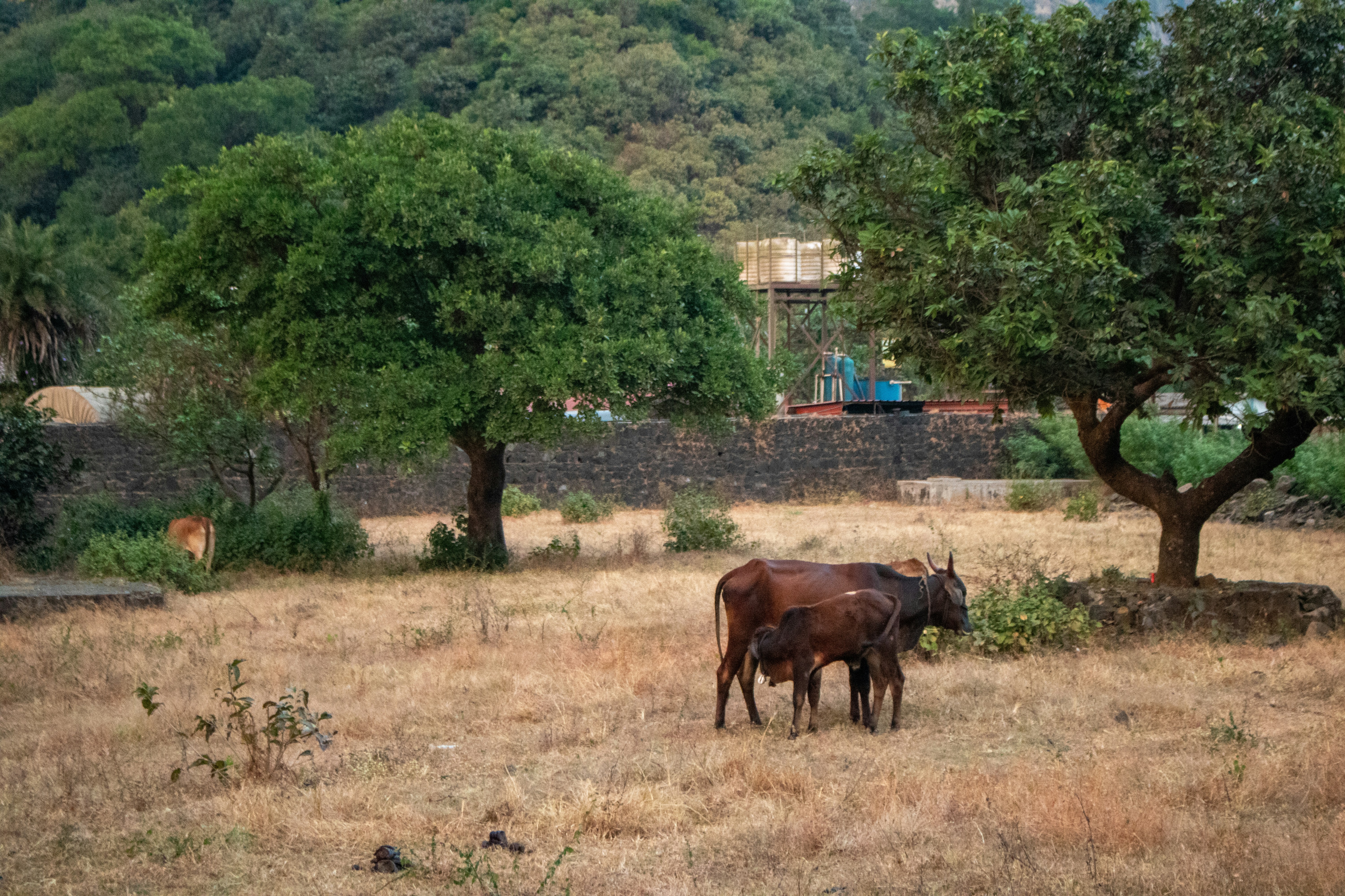 Photo by zoshuacolah