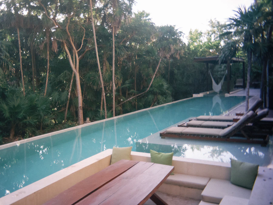 A long pool lined with loungers beneath tall forest trees