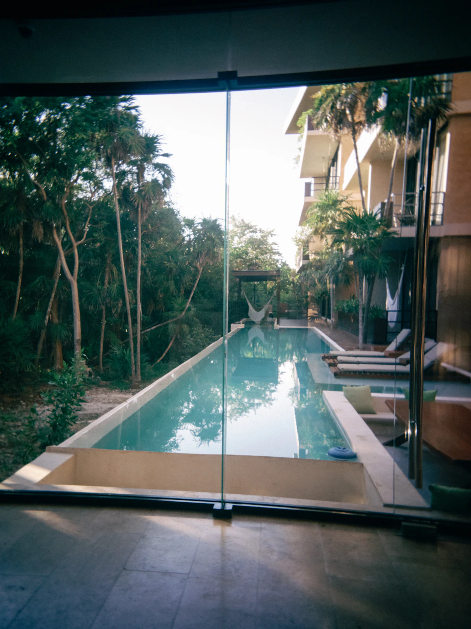 Large rectangular swimming pool with glass wall surrounded by lush greenery and trees outdoors