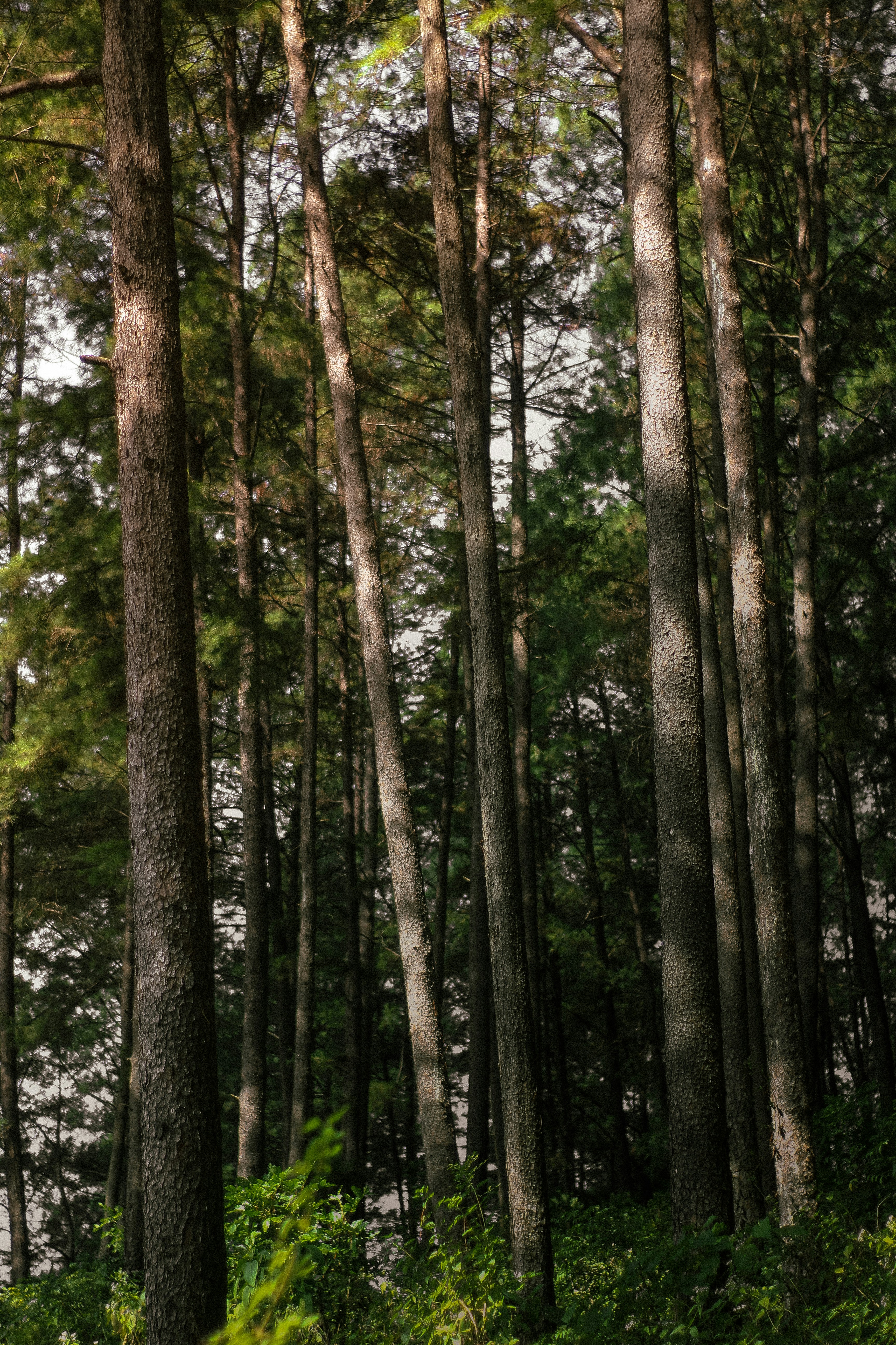 Photo by tusharranjan_