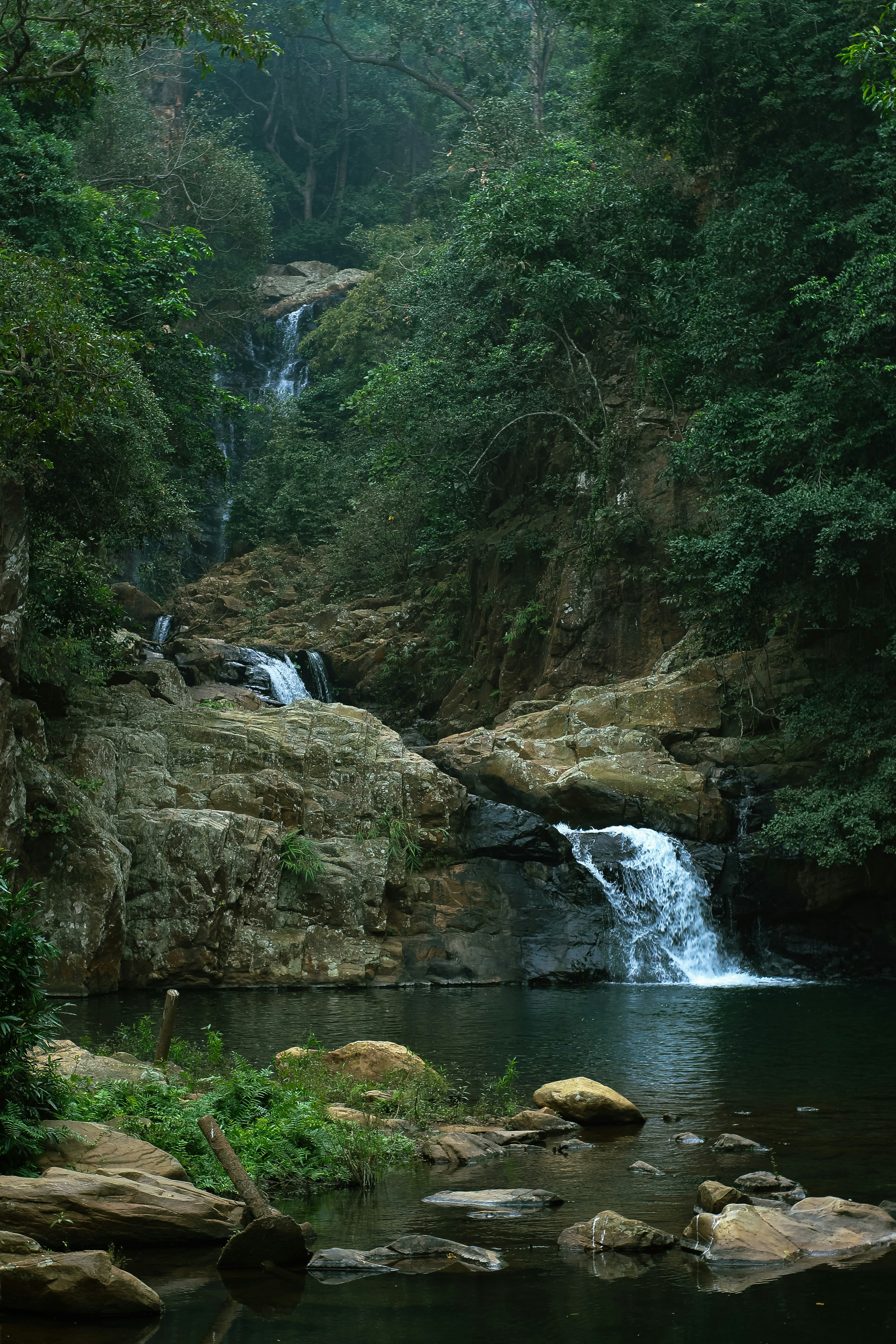 Photo by tusharranjan_