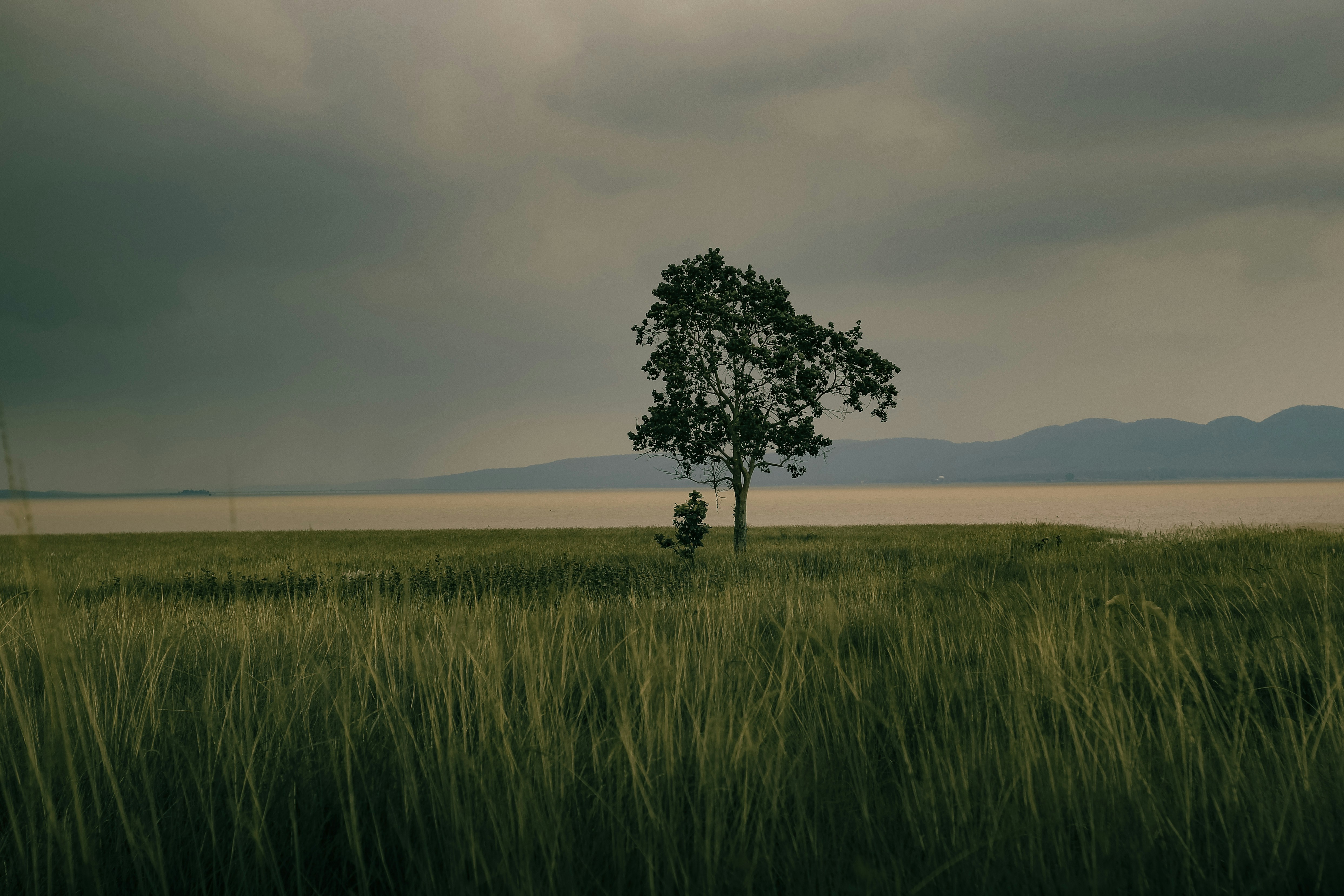 Photo by tusharranjan_