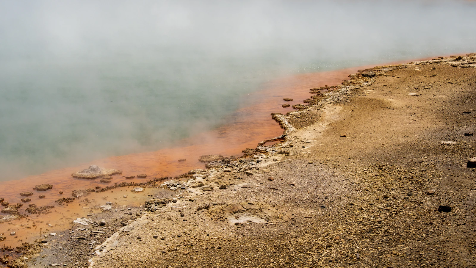 Rotorua