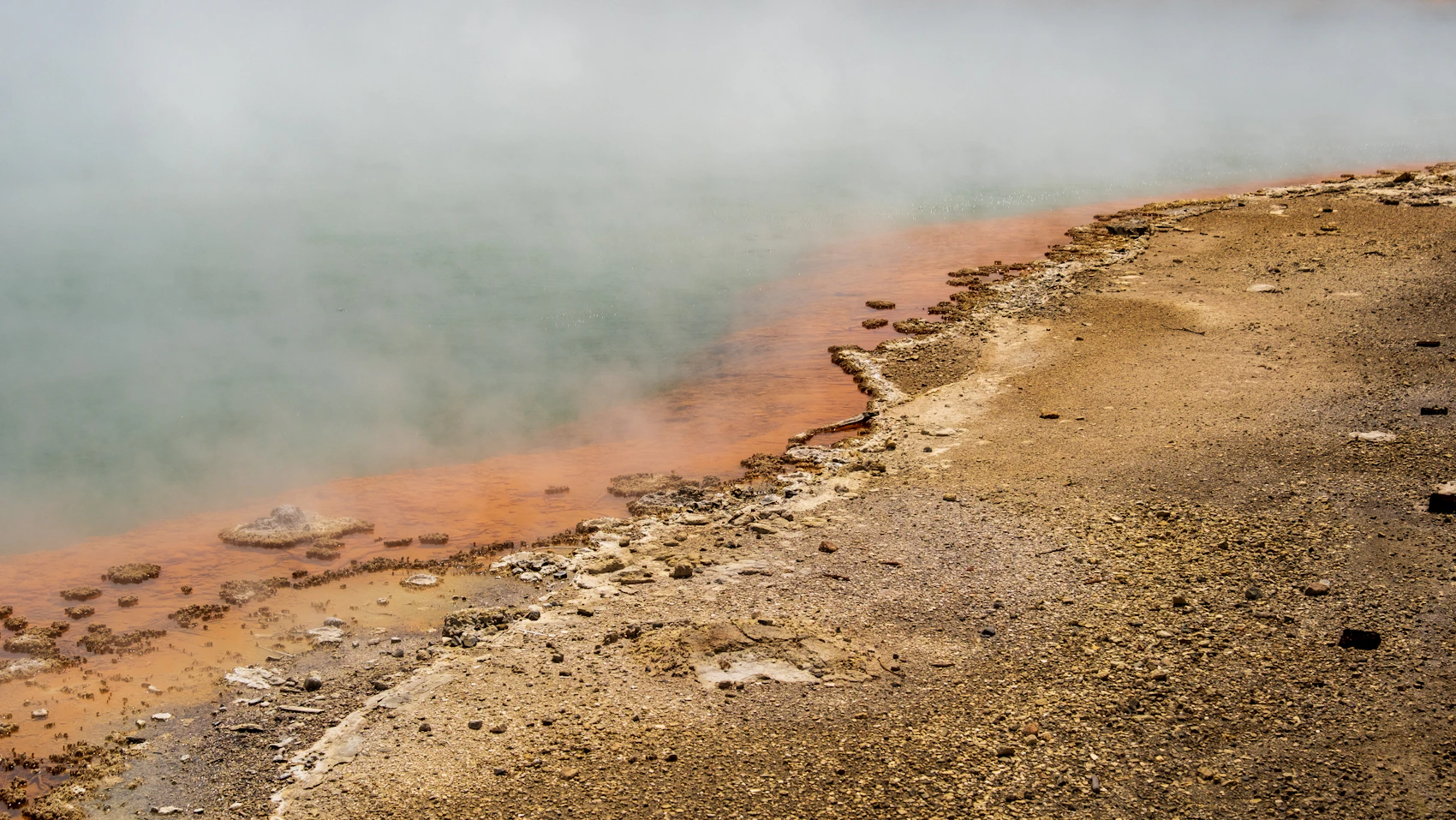 Steam rising from colourful geothermal pools near Rotorua