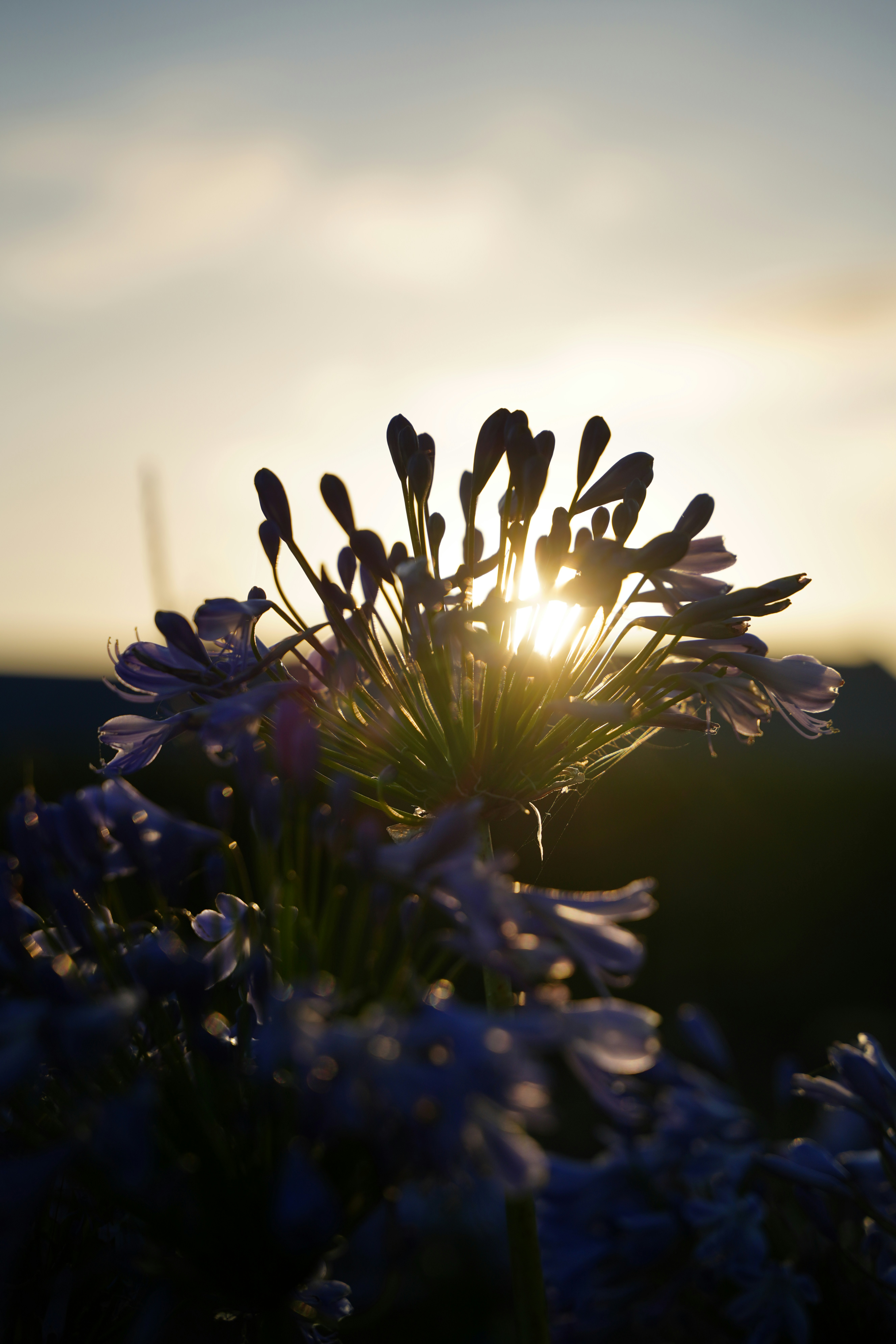 Photo by superxcalvin