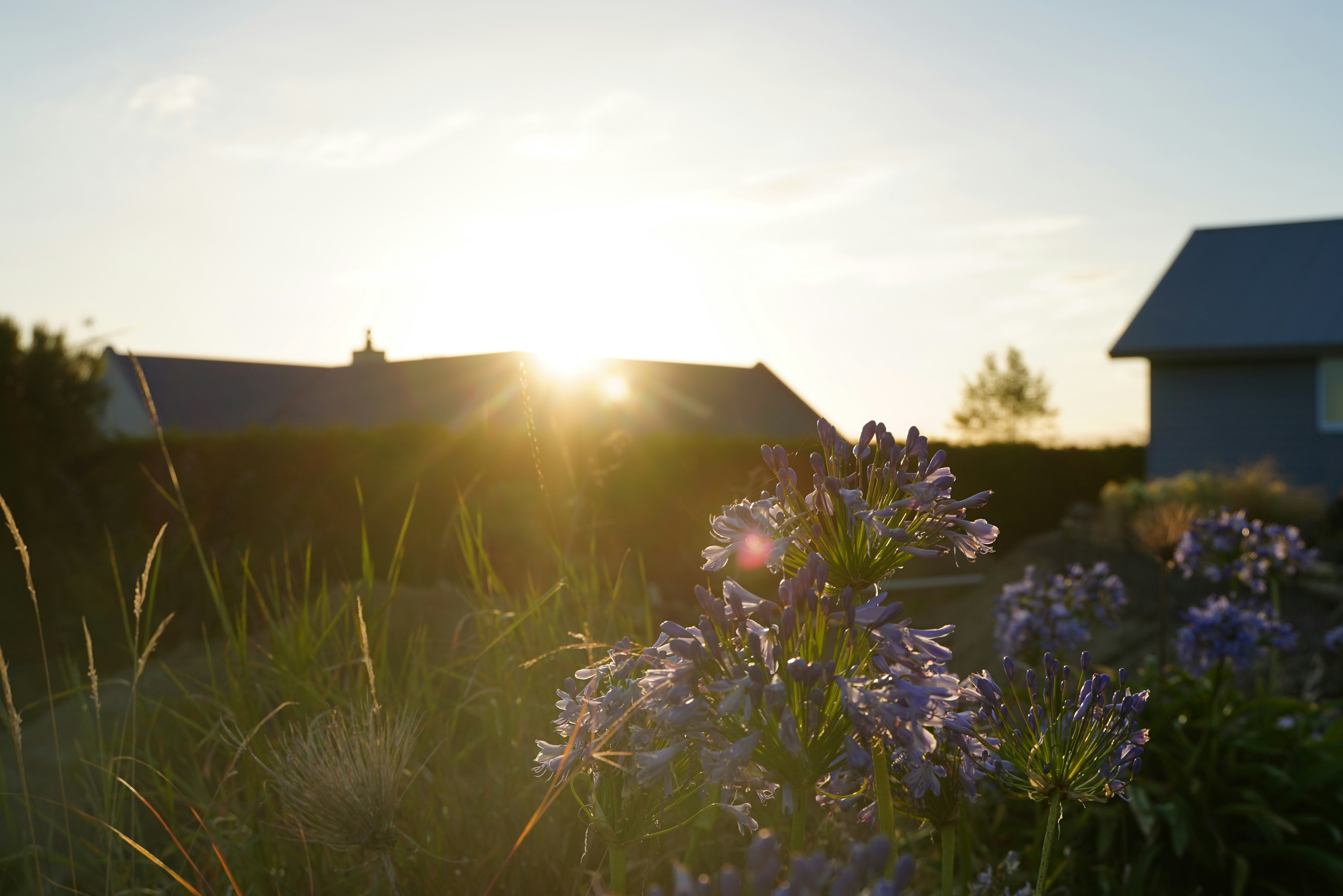 Photo by superxcalvin