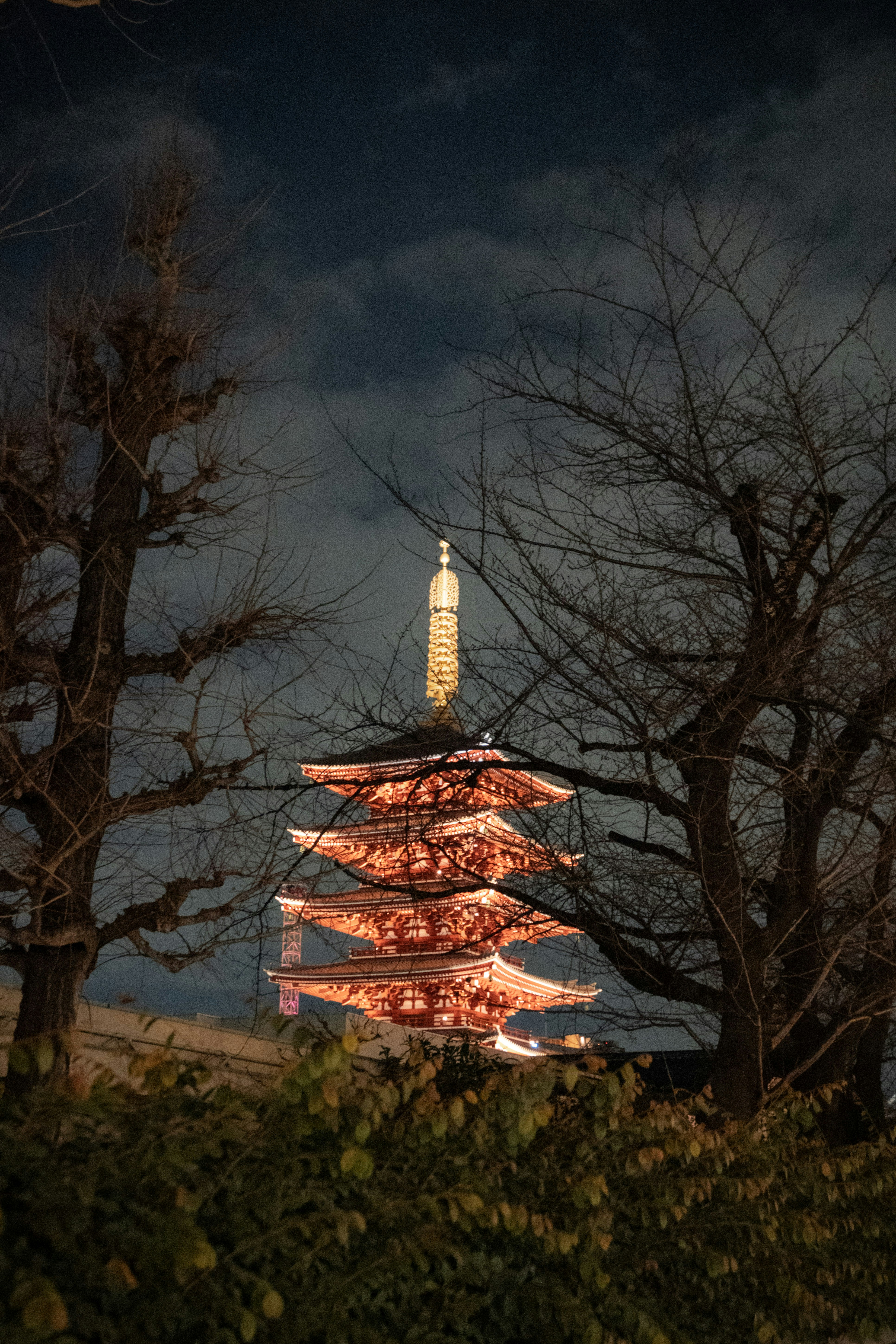 Photo by hidingninjatokyo