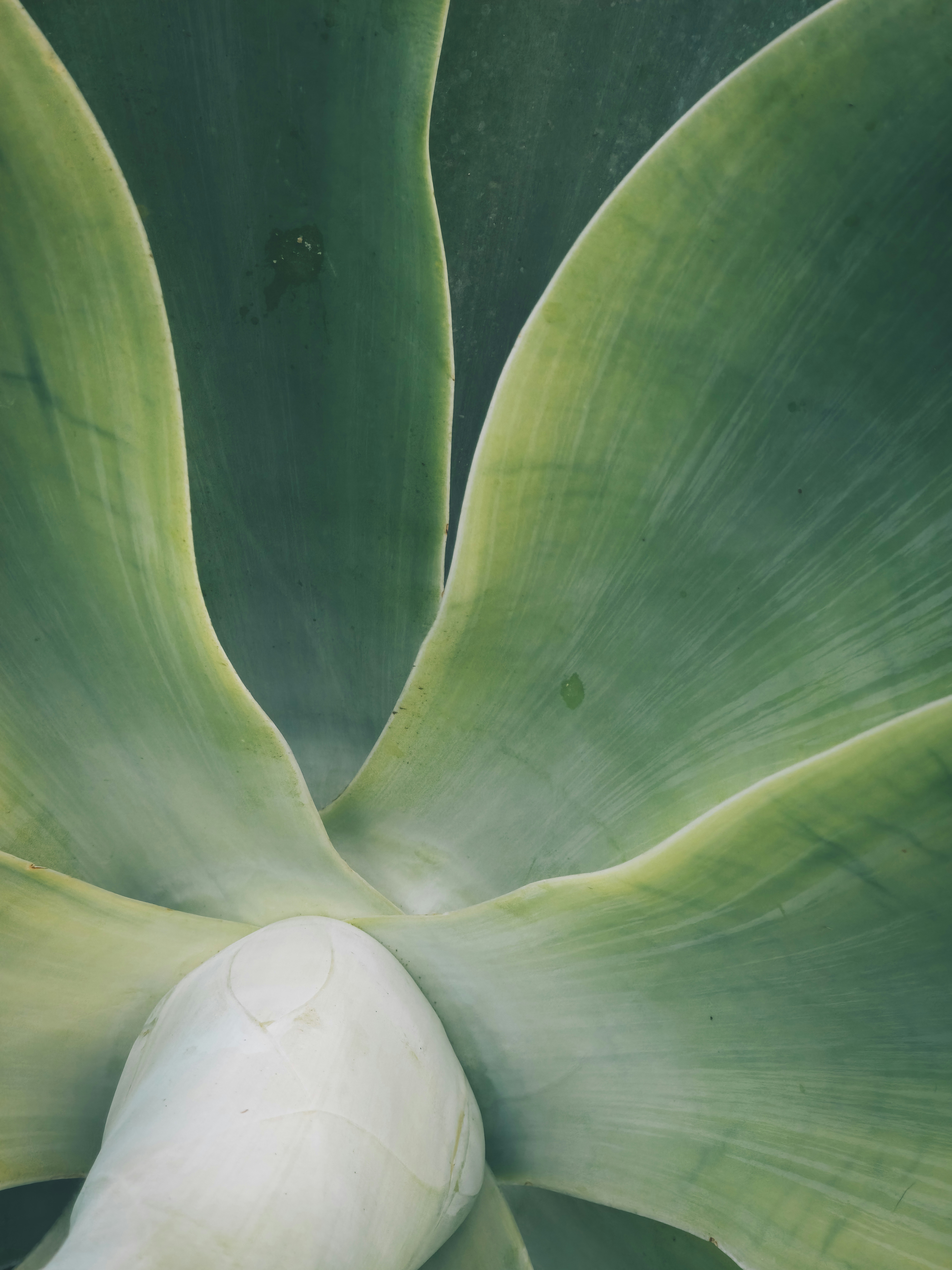 Walvis Bay travel photo