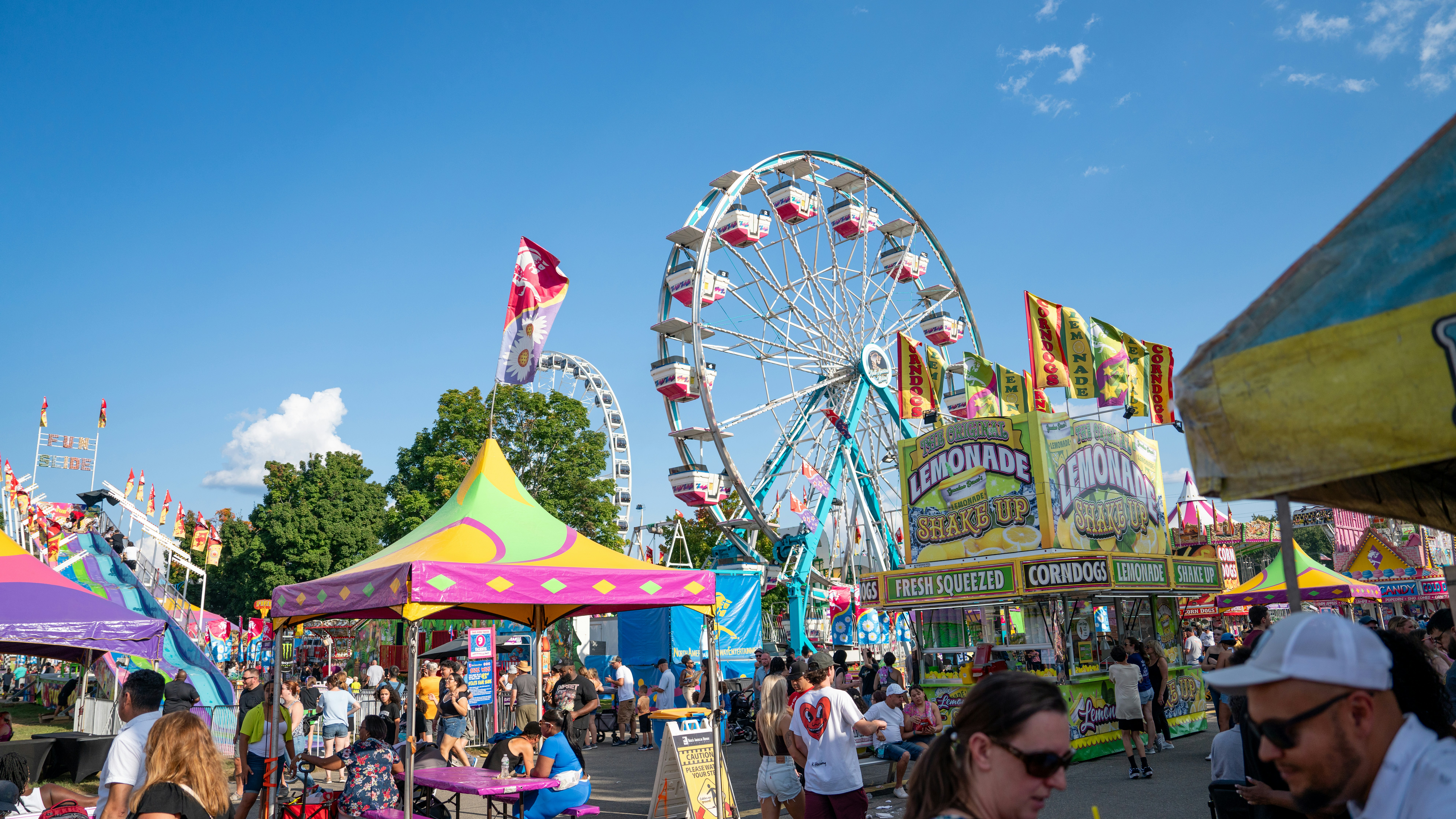 Wisconsin State Fair (Cream Puffs)