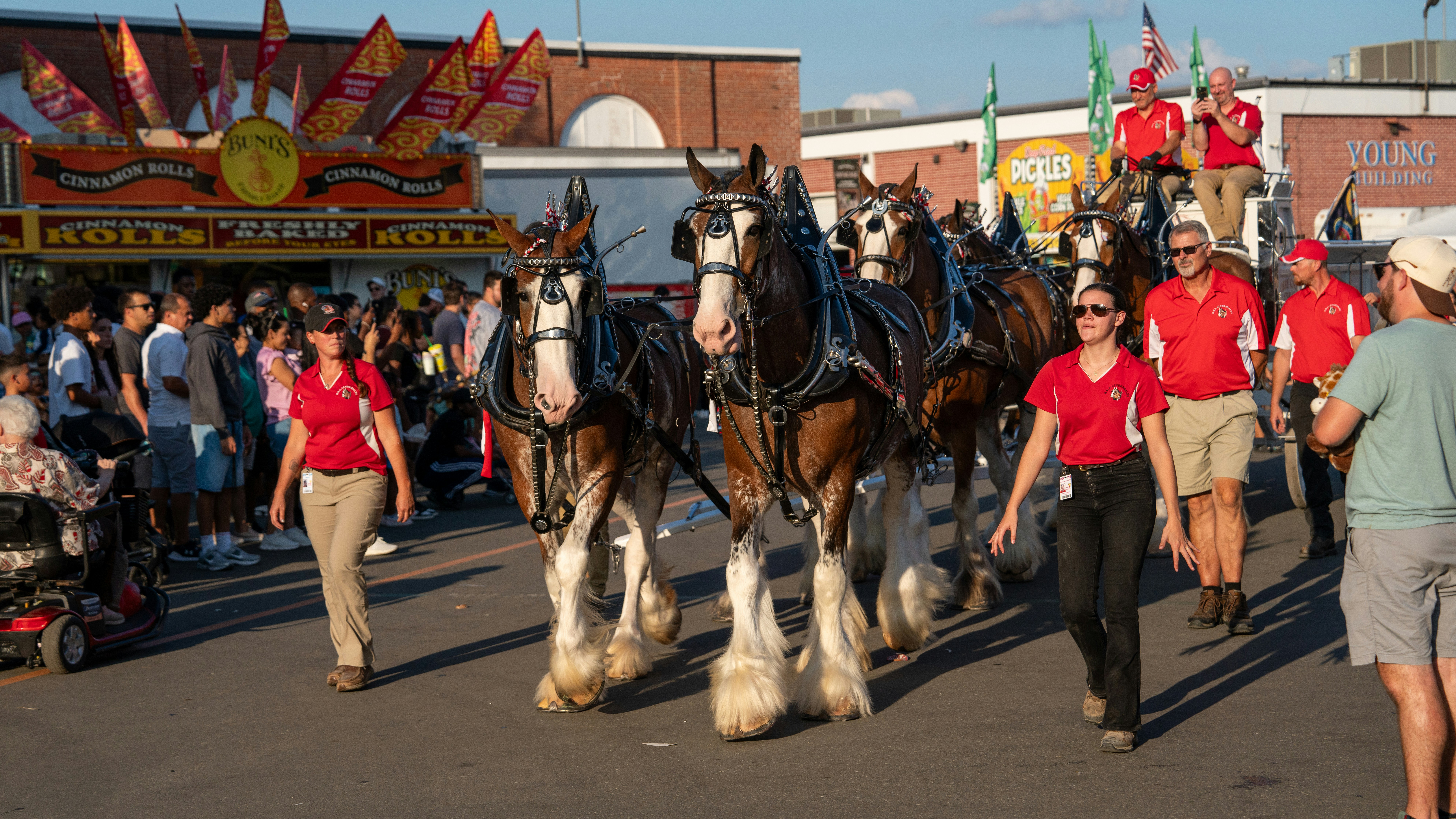 Photo by oculareuphoria