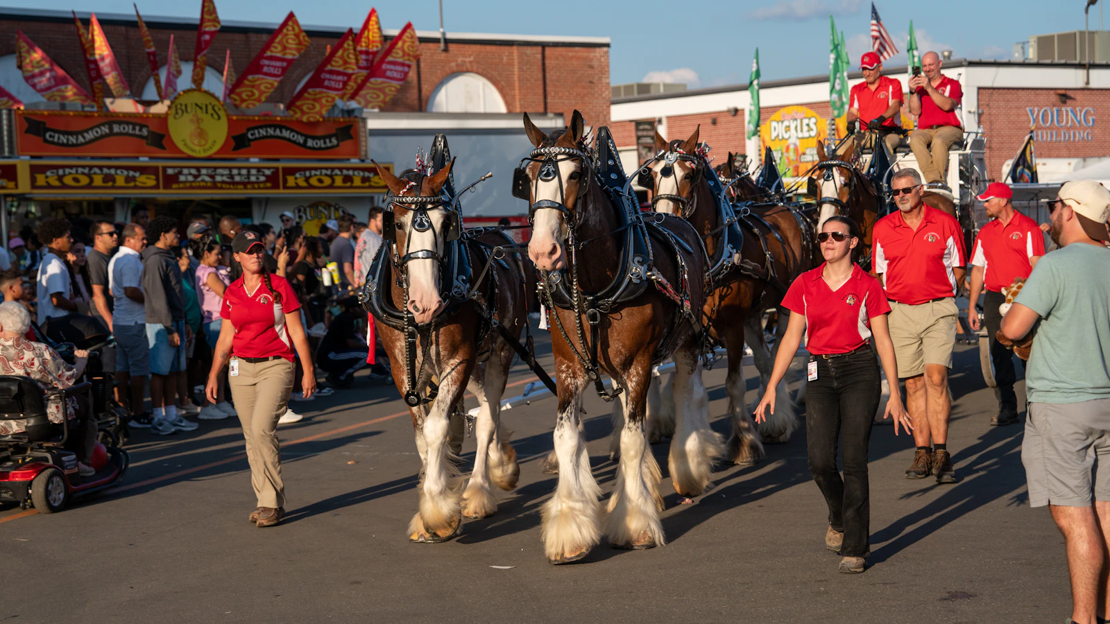 feature image of 5 Reasons the Draft Horse Classic Feels Like Nevada County Living
