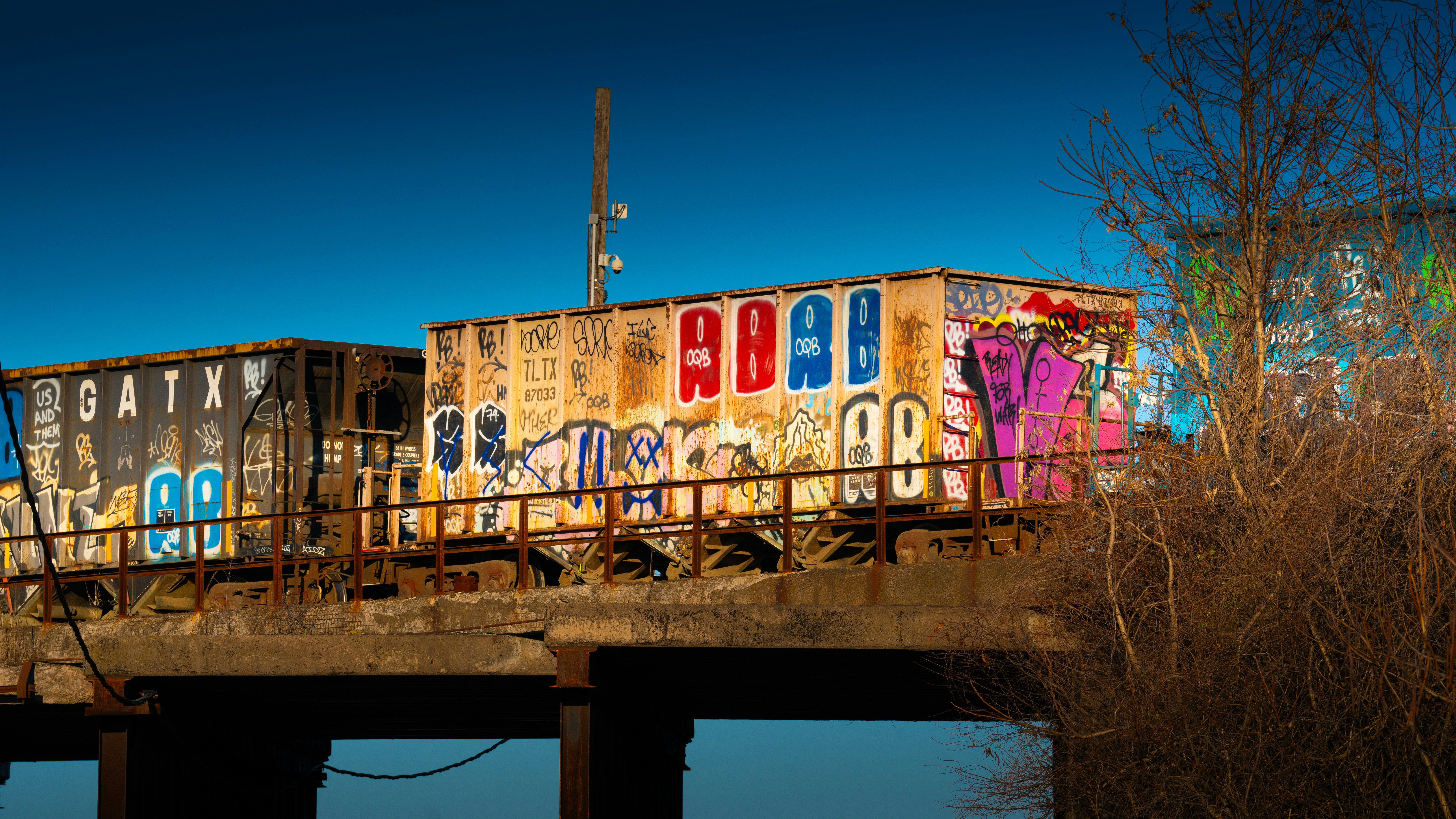 Photo by oculareuphoria