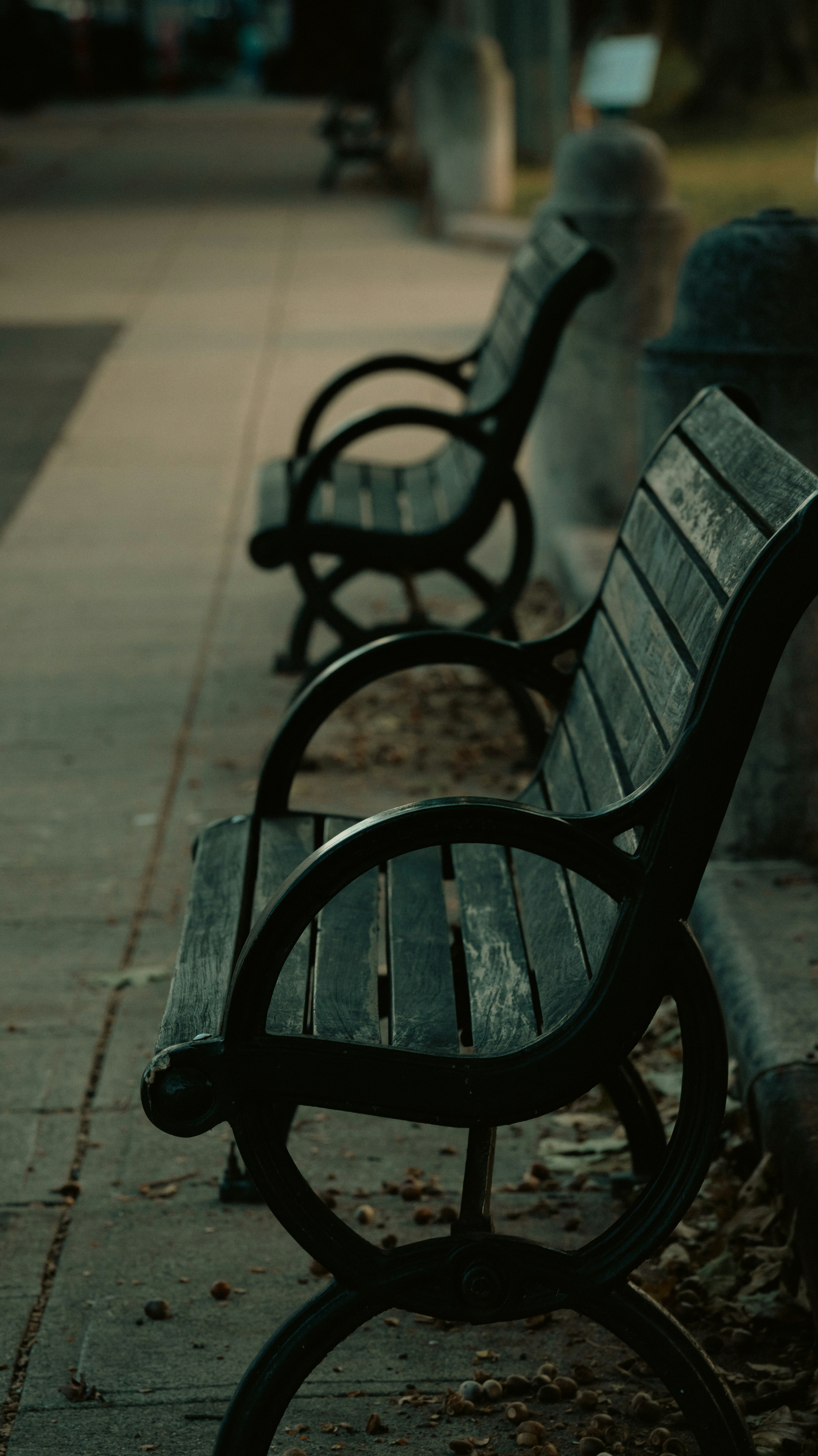 Photo by oculareuphoria