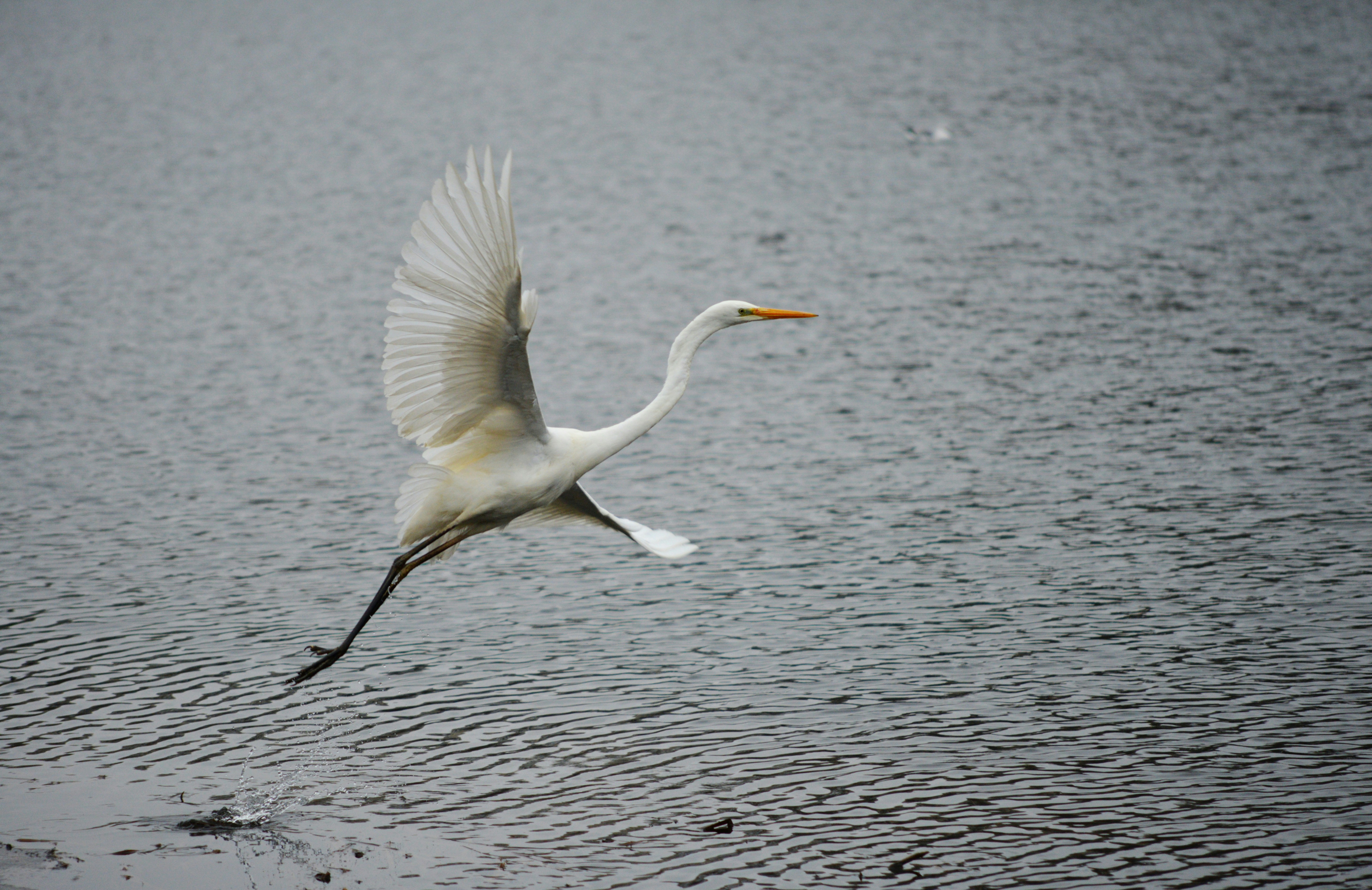 Photo by cherstve_pechivo