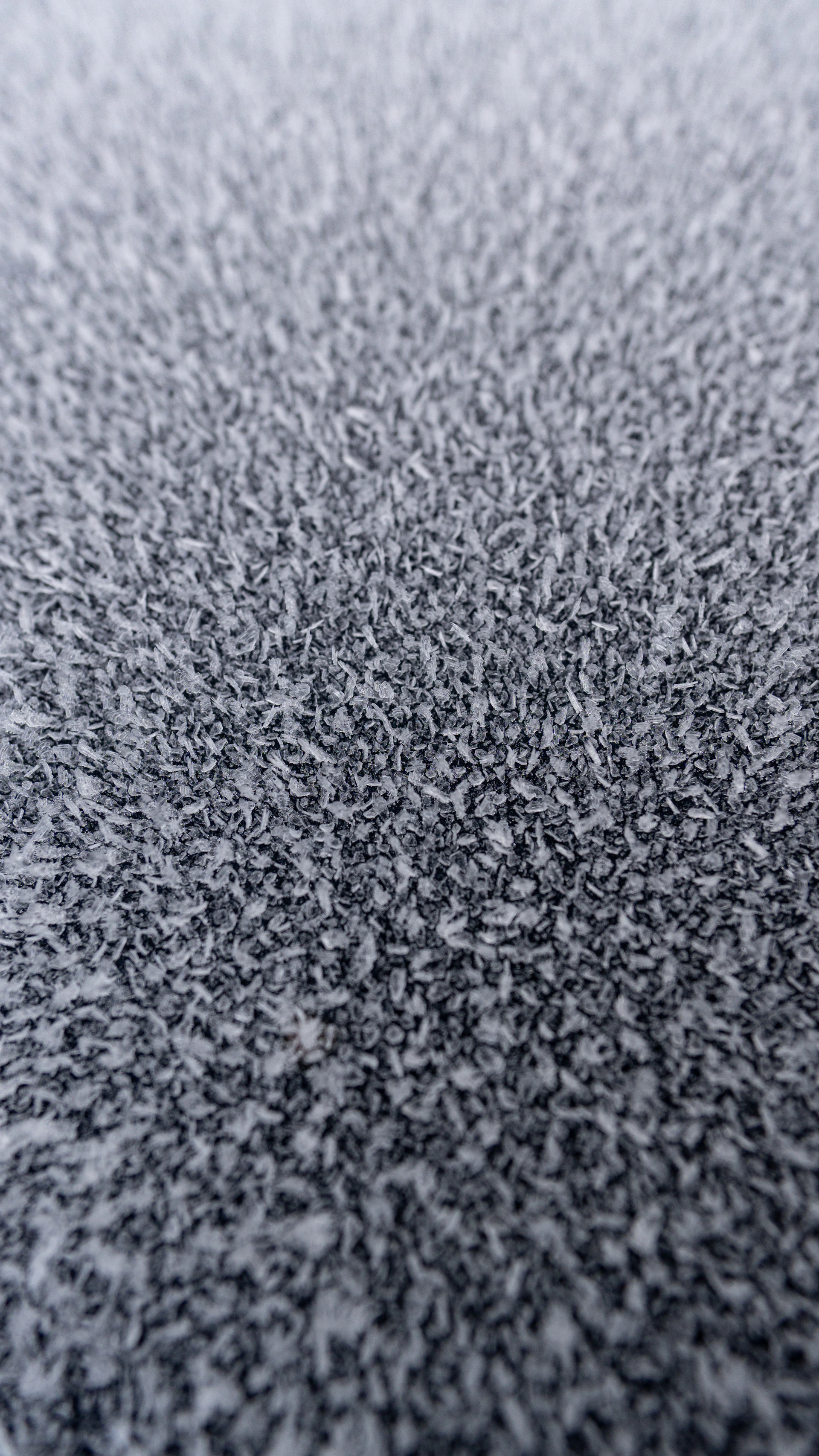 A black and white photo of a surface