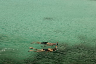 Two people are swimming in the water