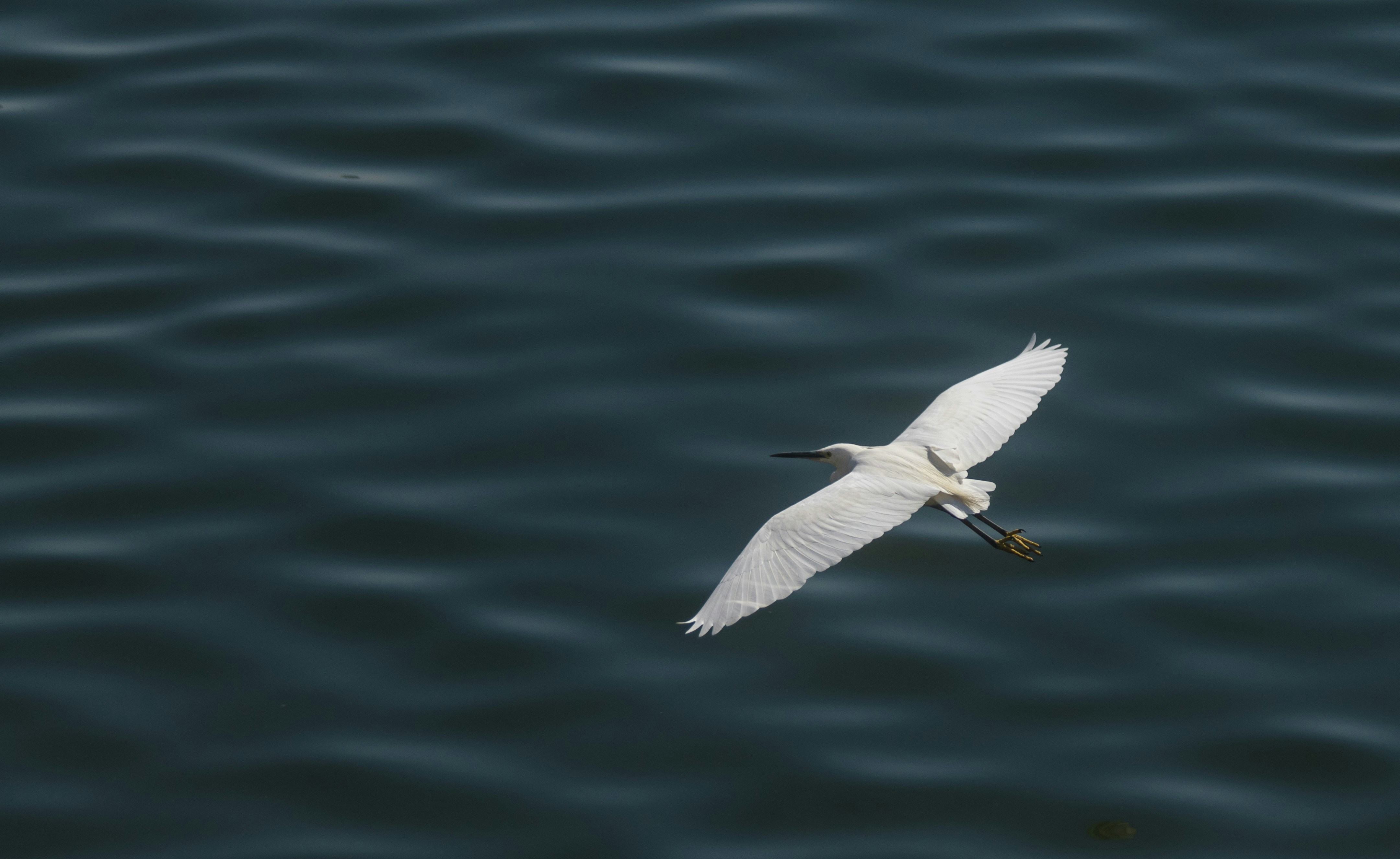 Photo by invalidstroke