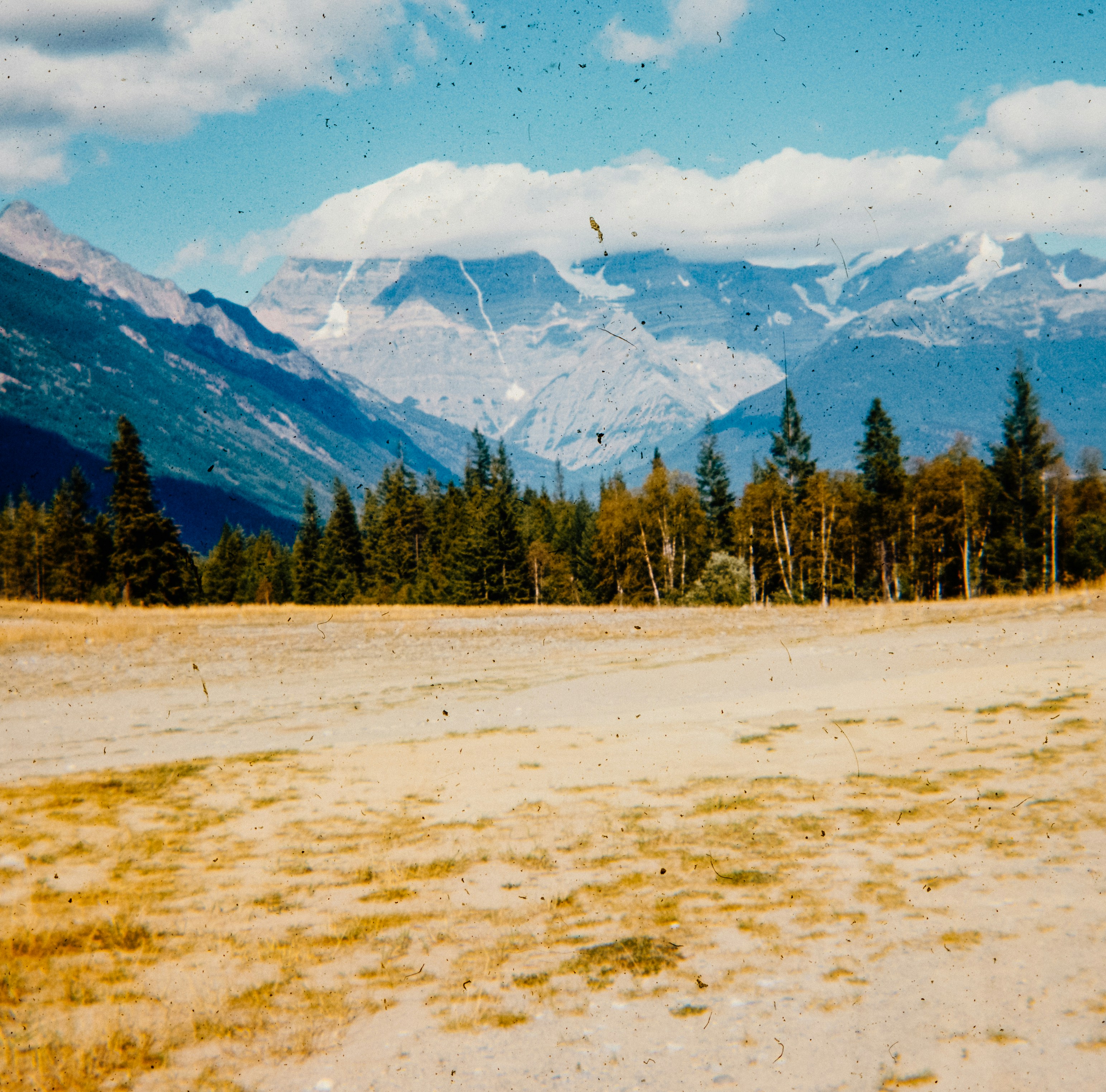 Photo by anniespratt