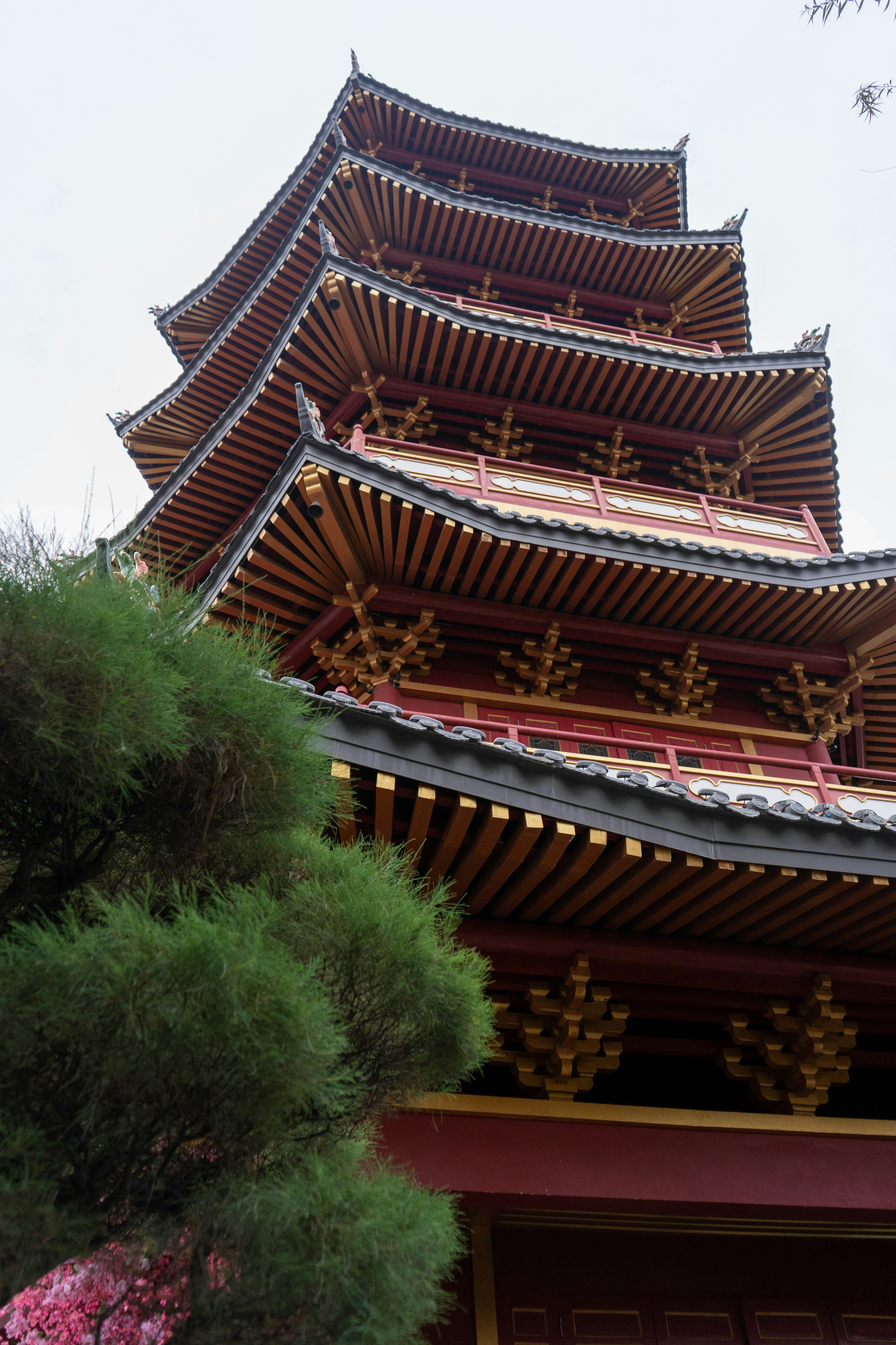 Photo by tcphotoworks