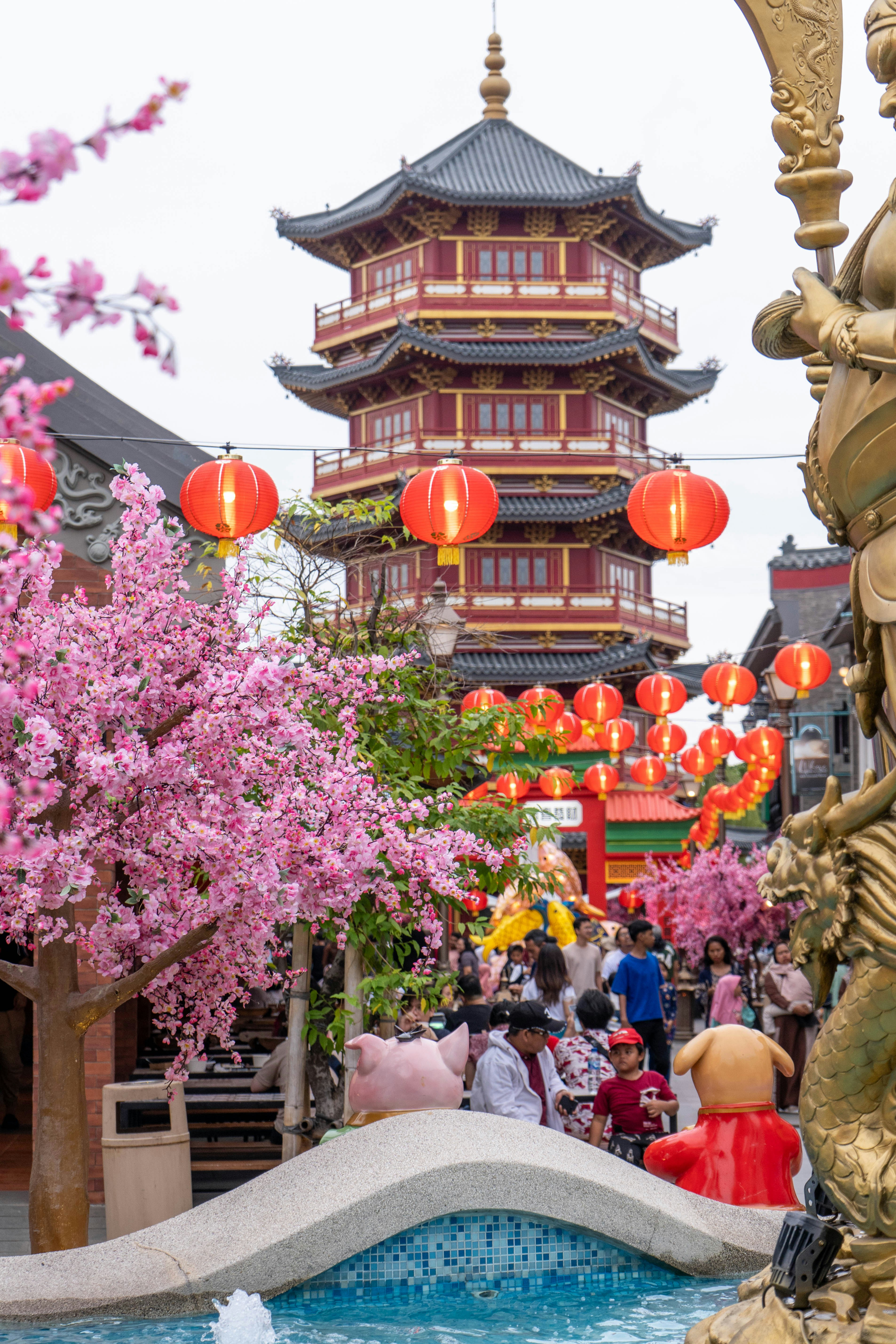 Photo by tcphotoworks