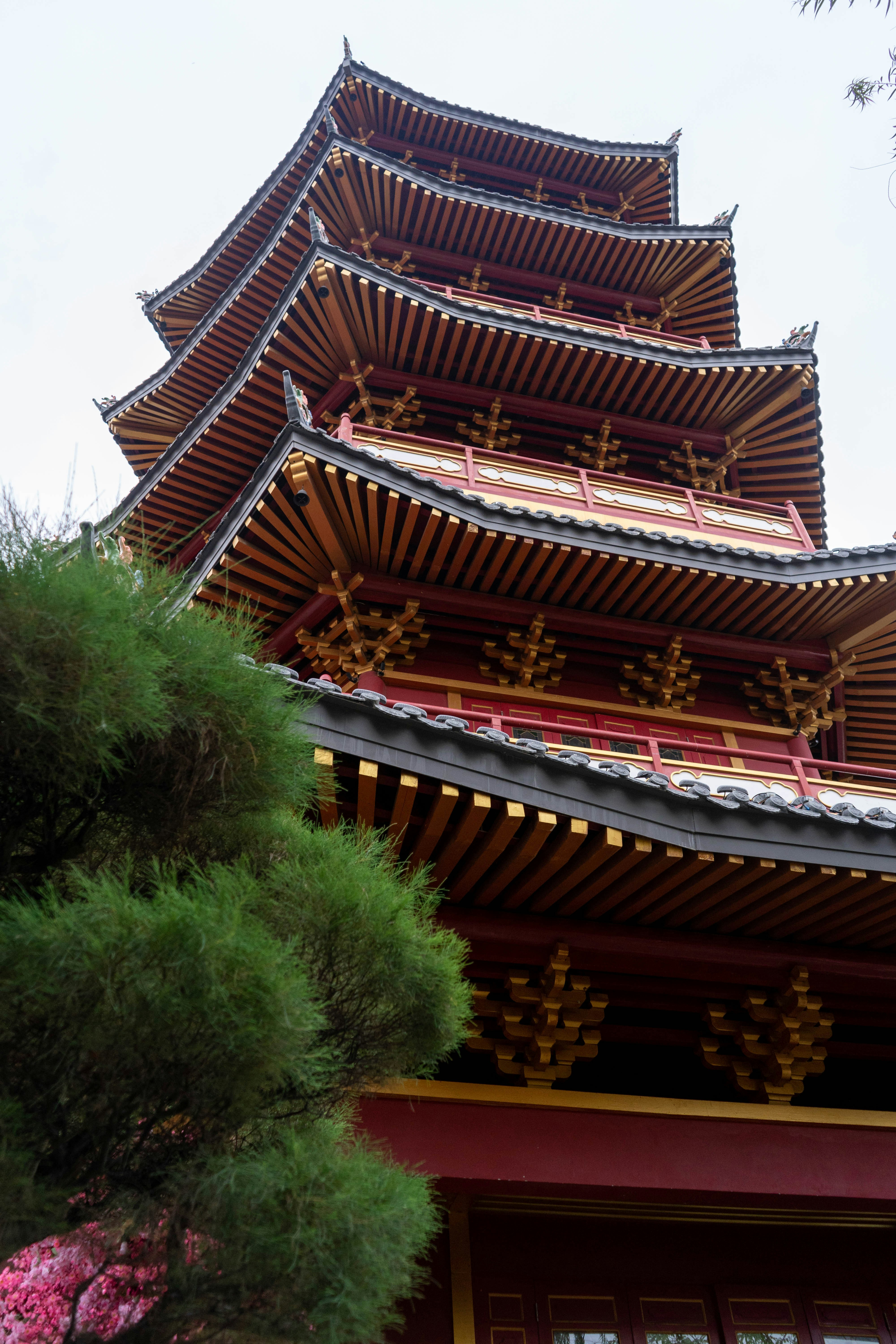 Photo by tcphotoworks