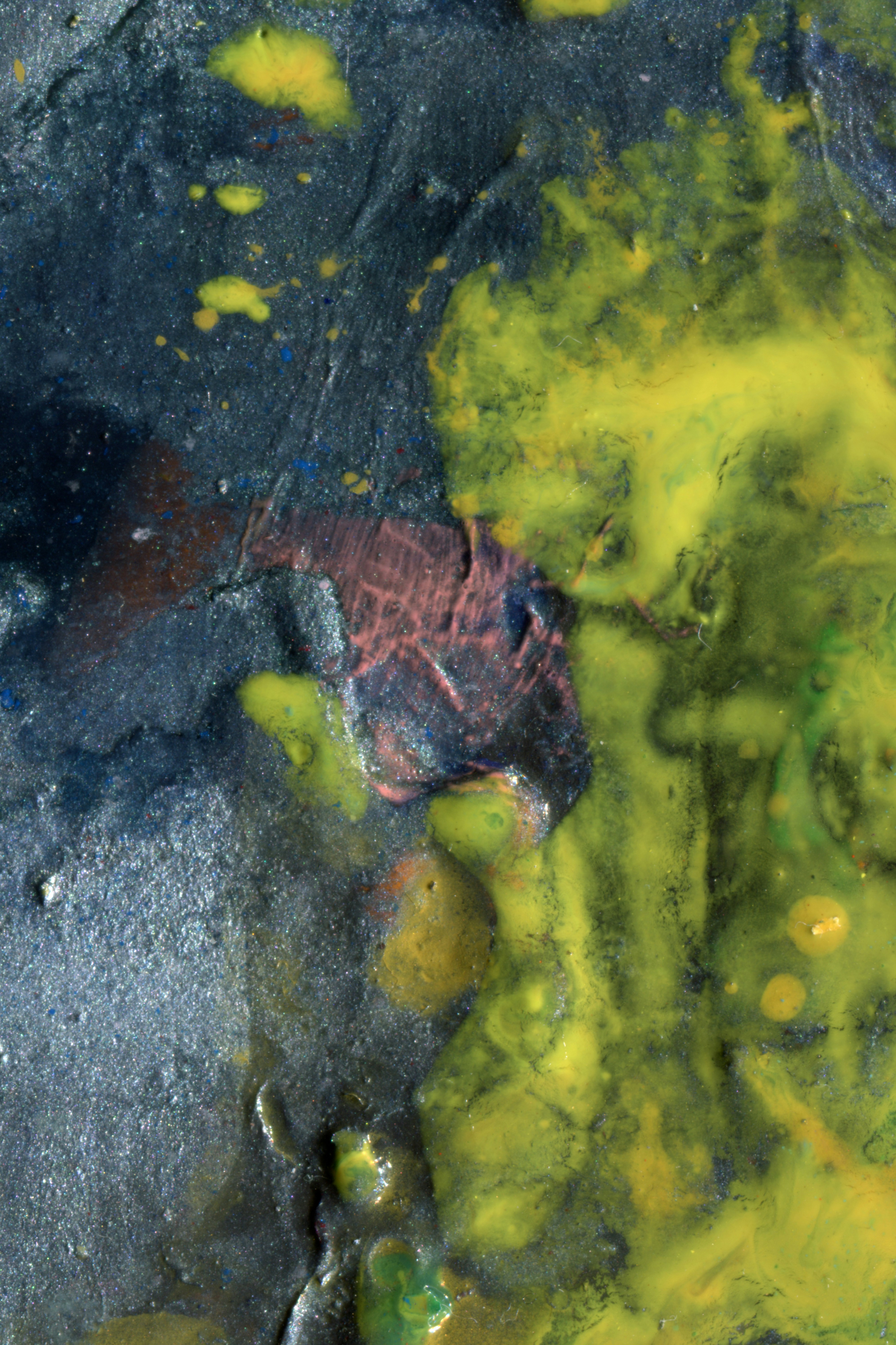 A close up of a fish in a body of water