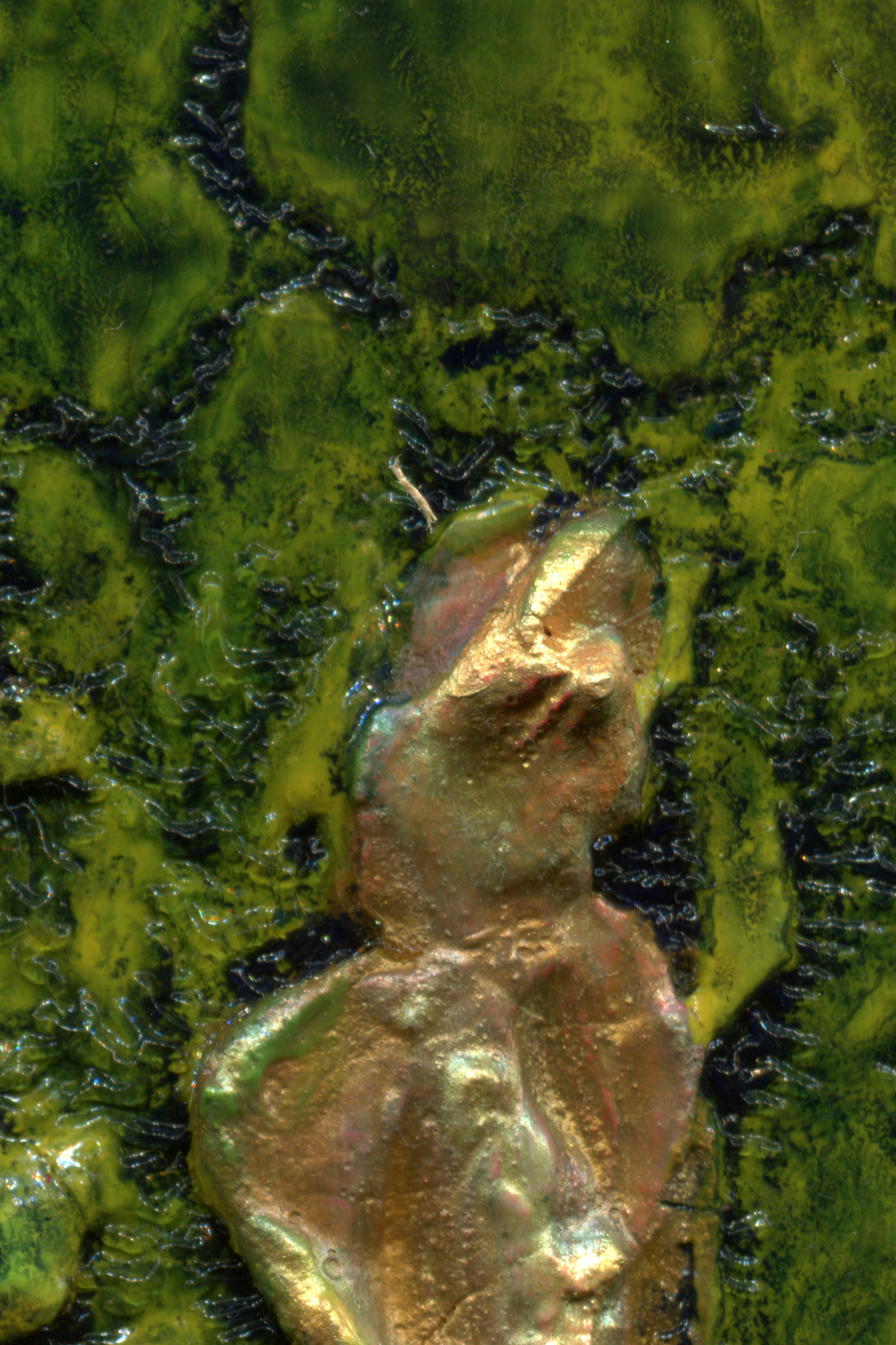 Photo by sensoryarthouse